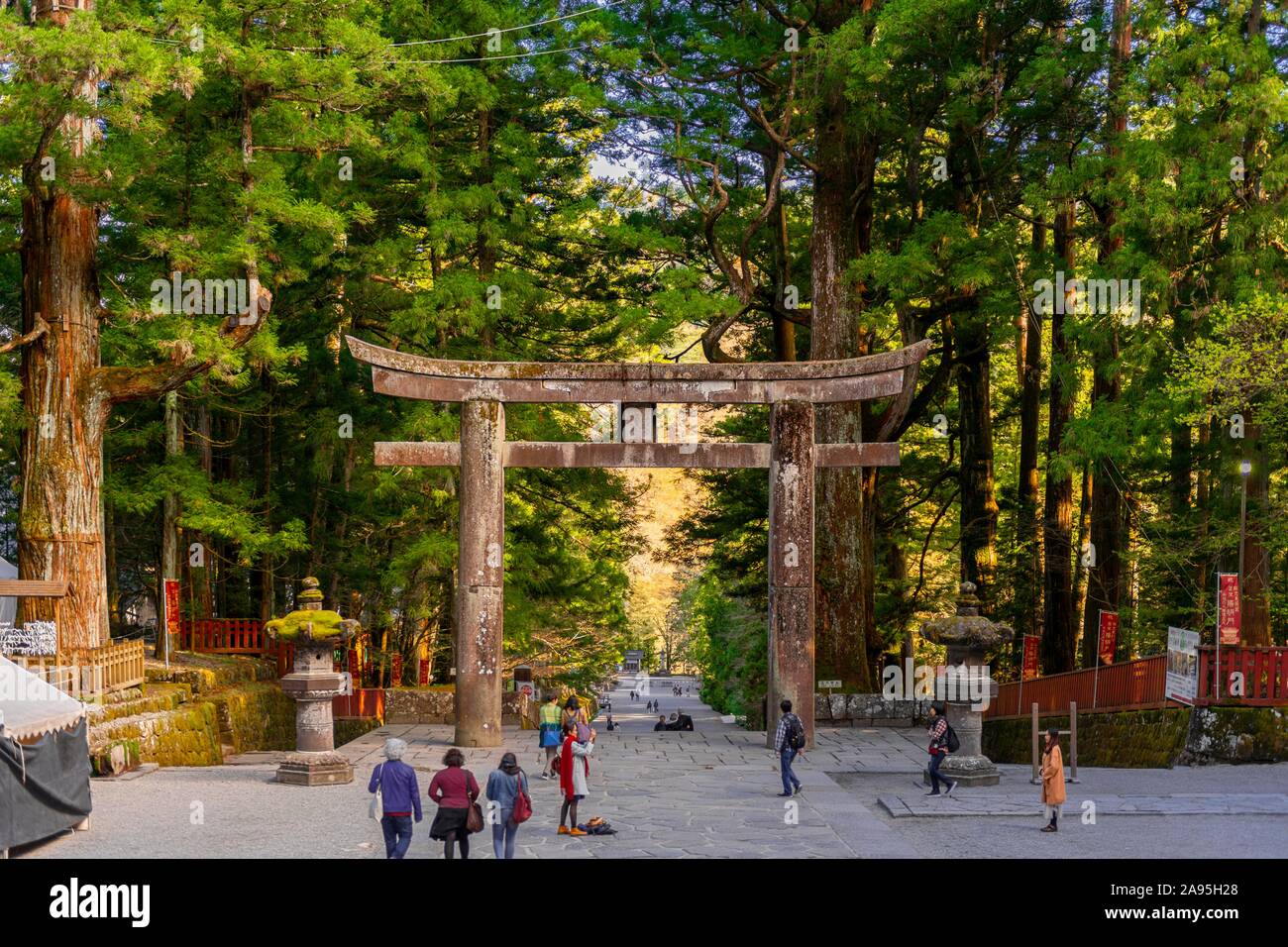 Torii Tor, Schreine und Tempel von Nikko, Weltkulturerbe der UNESCO, Nikko, Japan Stockfoto