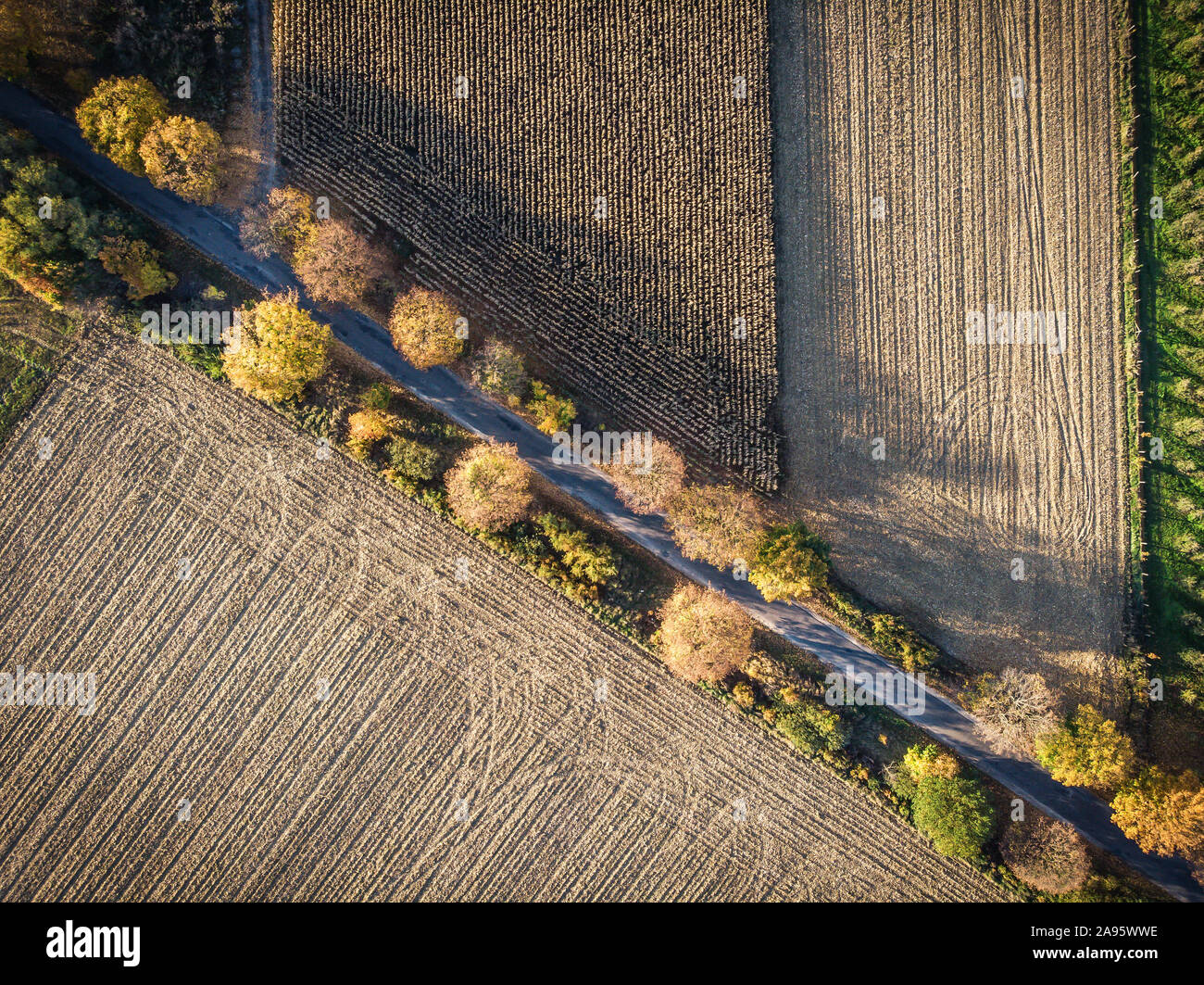 Luftaufnahme von Country Road, Bäume im Herbst und gepflügten Feldern, von oben nach unten Landschaft Stockfoto