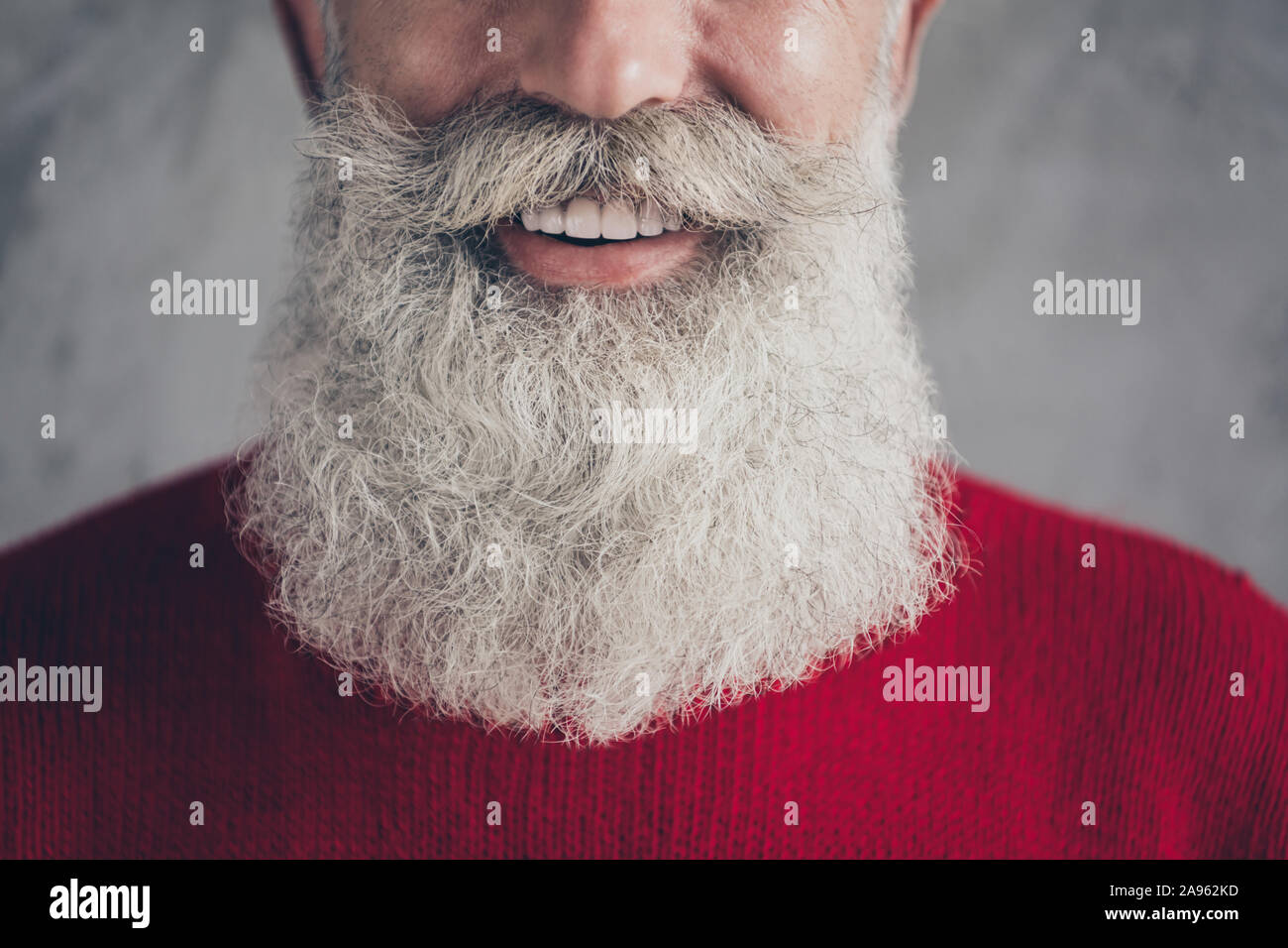 7/8-closeup Foto alter Kerl mit perfekter ordentlich gepflegten langen Bart nach Salon Verfahren tragen rote Strickpullover cool hipster Outfit isoliert Stockfoto