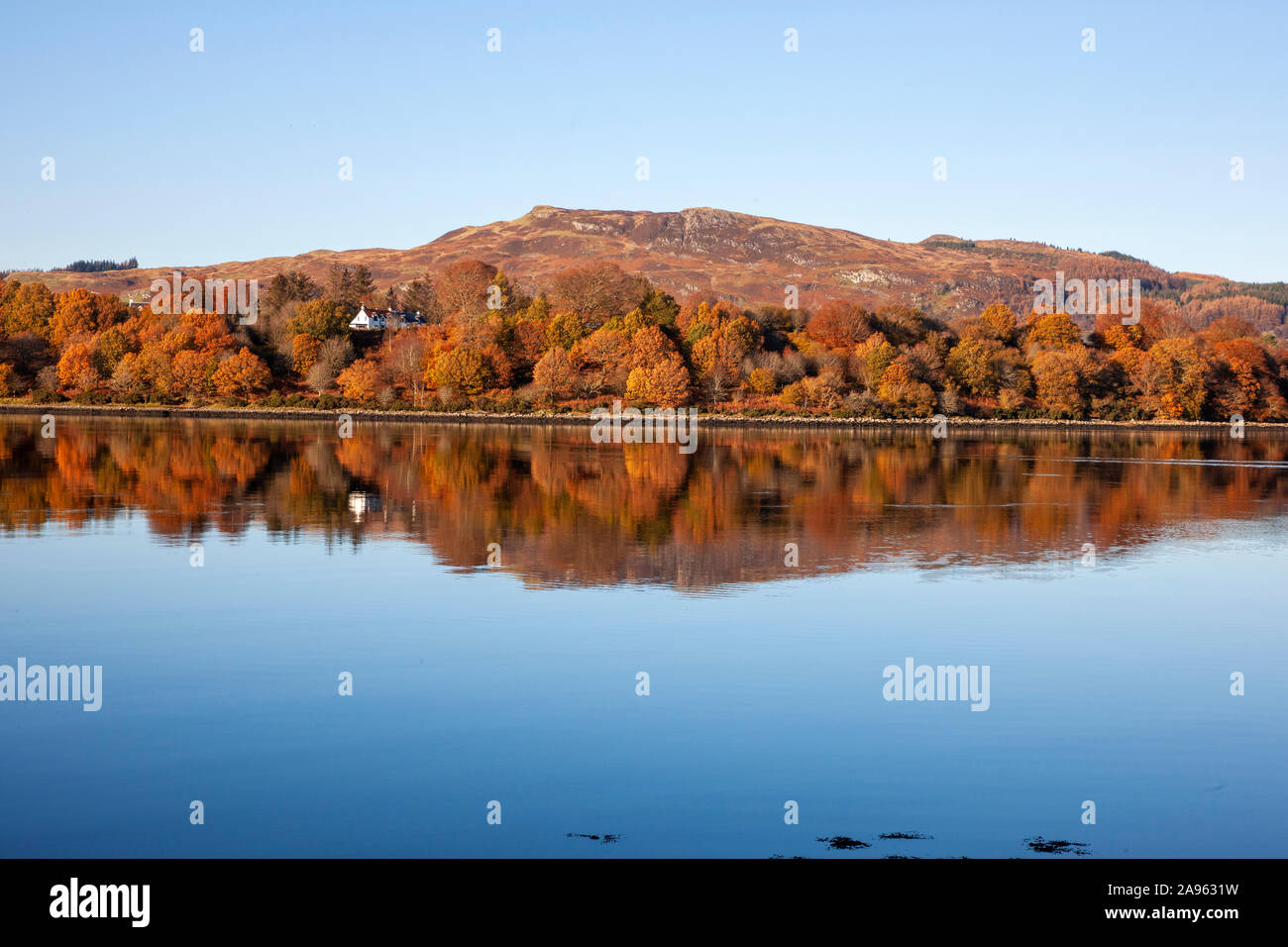 Ruhigen herbst Reflexionen am Loch Etive von Ben Lora, Argyll Stockfoto