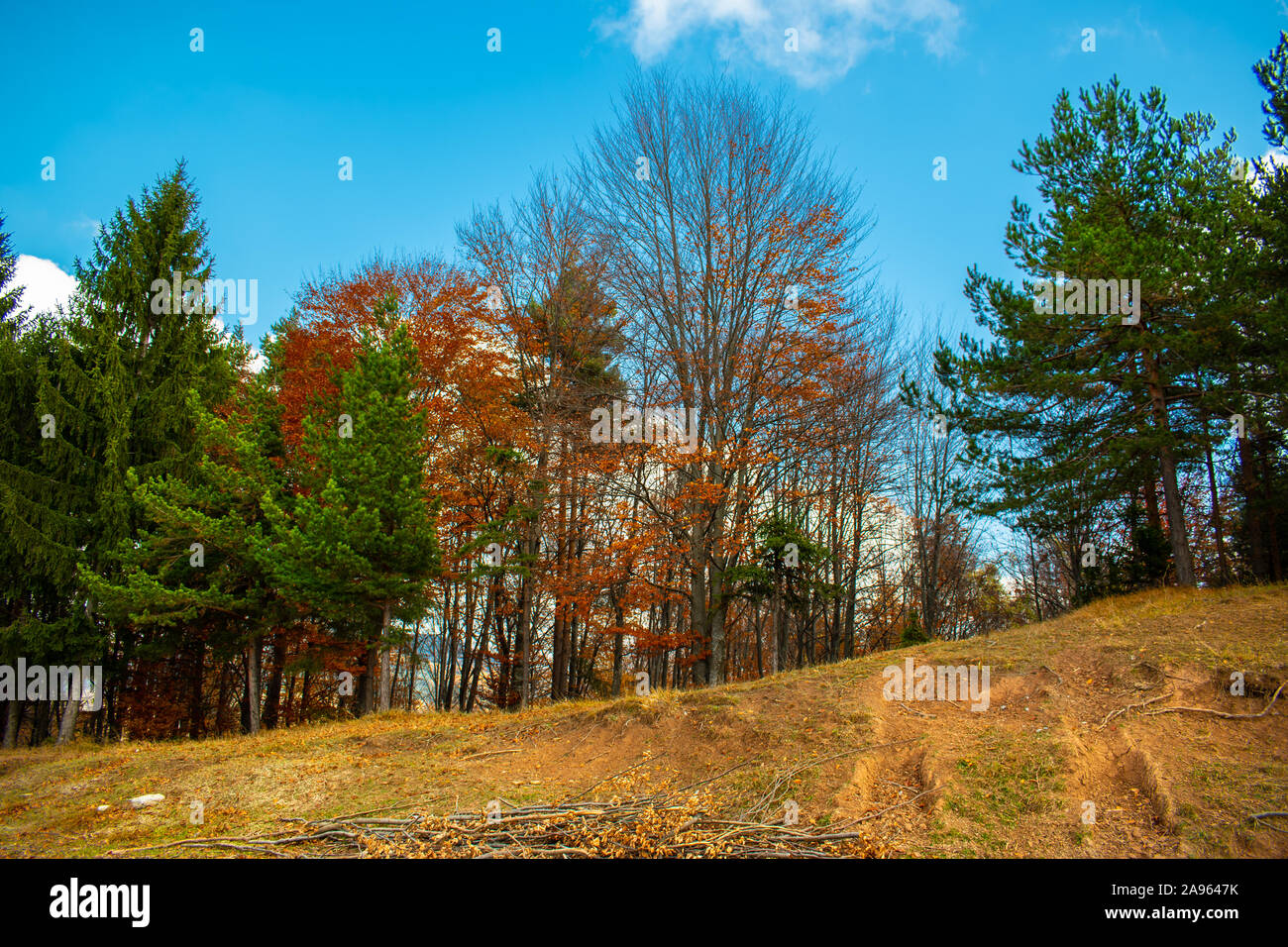 Schönen Himmel und Wolken über einem Wald auf einem Hügel in der Nähe eines kleinen Dorfes, mit Herbst bunte Bäume und Herbst Farben Stockfoto