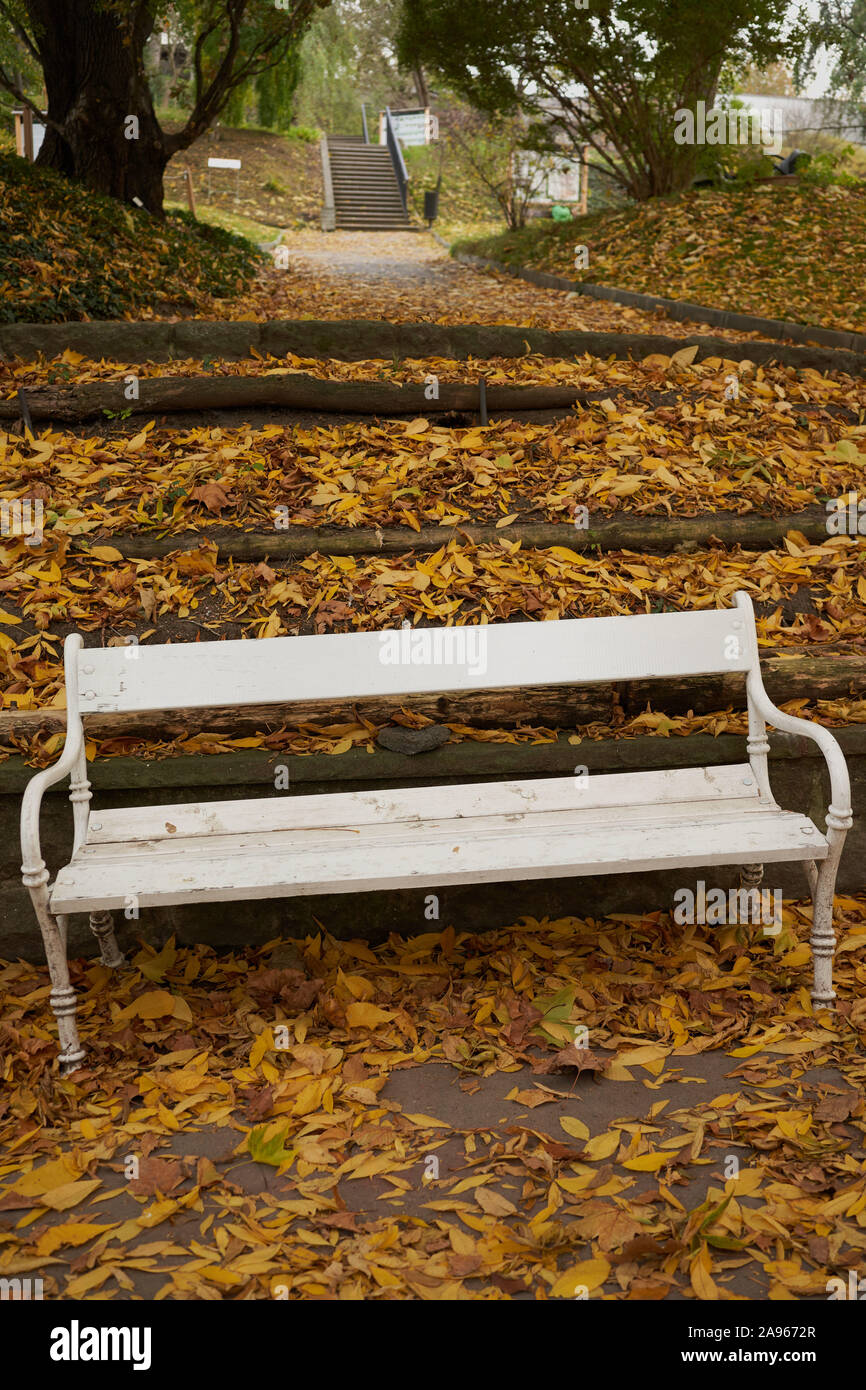 19-10-27 Botanischer Garten in Prag Na Slupi-0006-alte weiße Bank im Herbst fallen Blätter Stockfoto