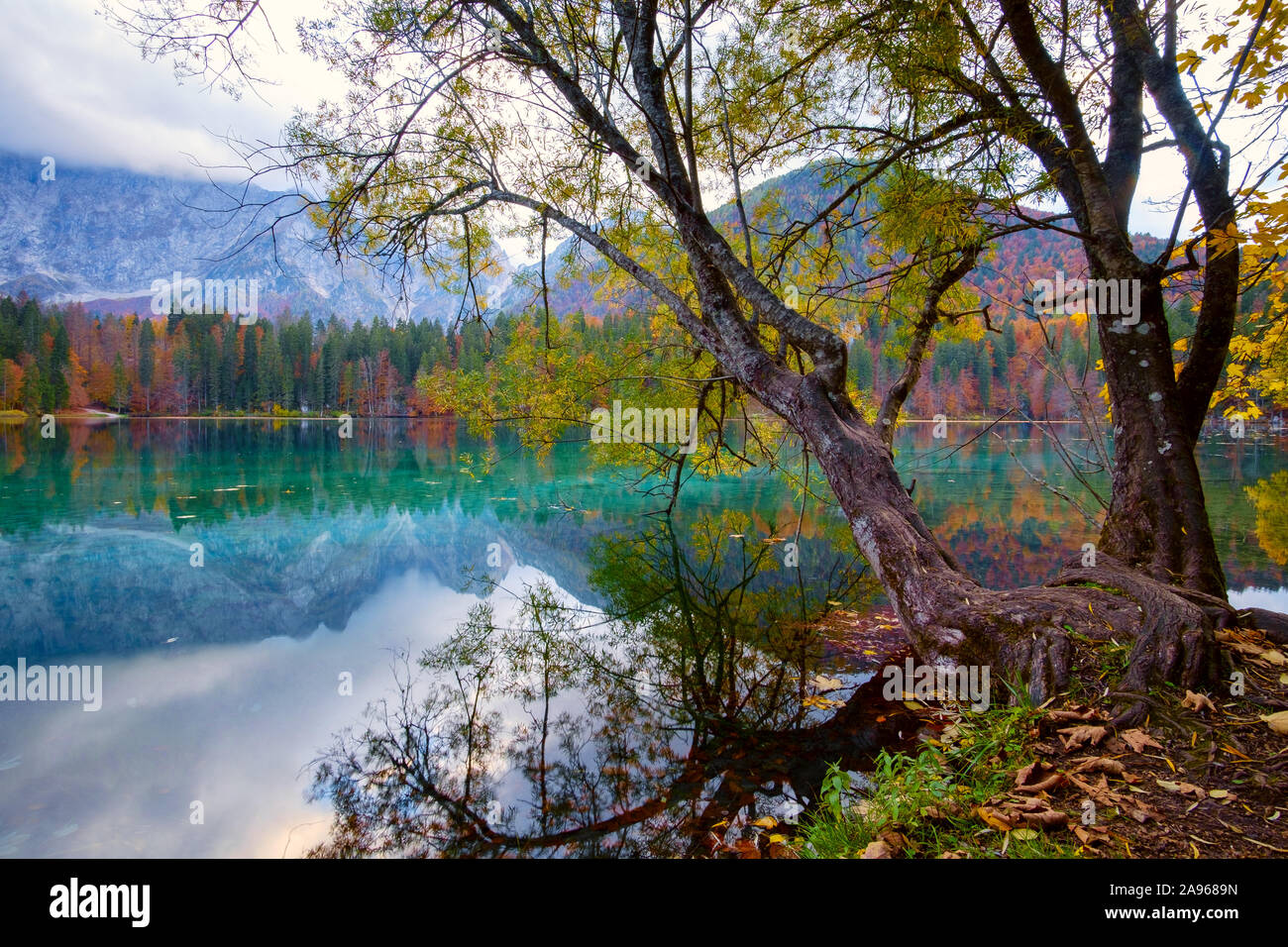 Herbst Landschaft am See Fusine - Lago di Fusine - Bergsee in Nord Italien in den Alpen. Stockfoto