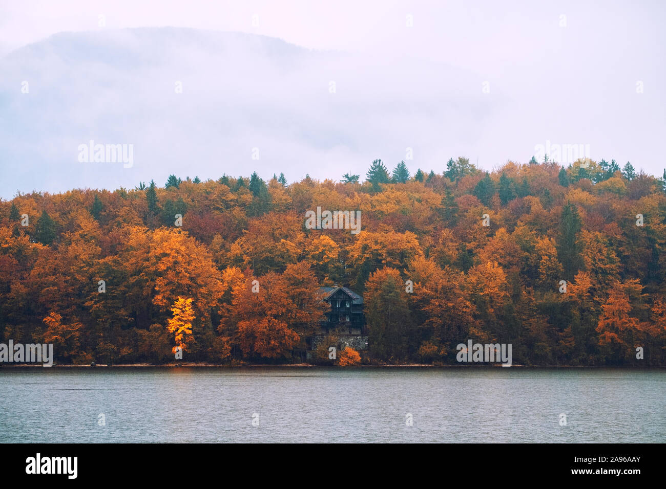Wunderschöne Herbstlandschaft am Bohinj See, Nationalpark Triglav, Julischen Alpen, Slowenien Stockfoto