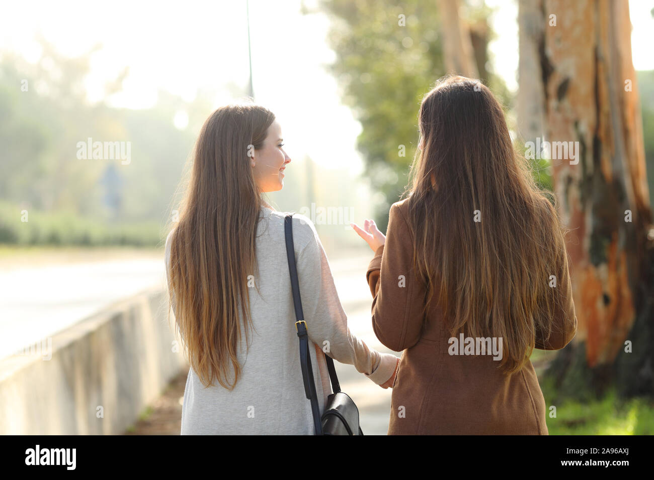 Rückansicht Porträt zweier Frauen und sprechen in einem Park asunny Tag Stockfoto