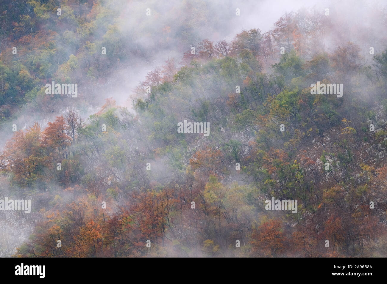 Landschaft von misty Herbst Wald in Berg Hügel in Slowenien Stockfoto