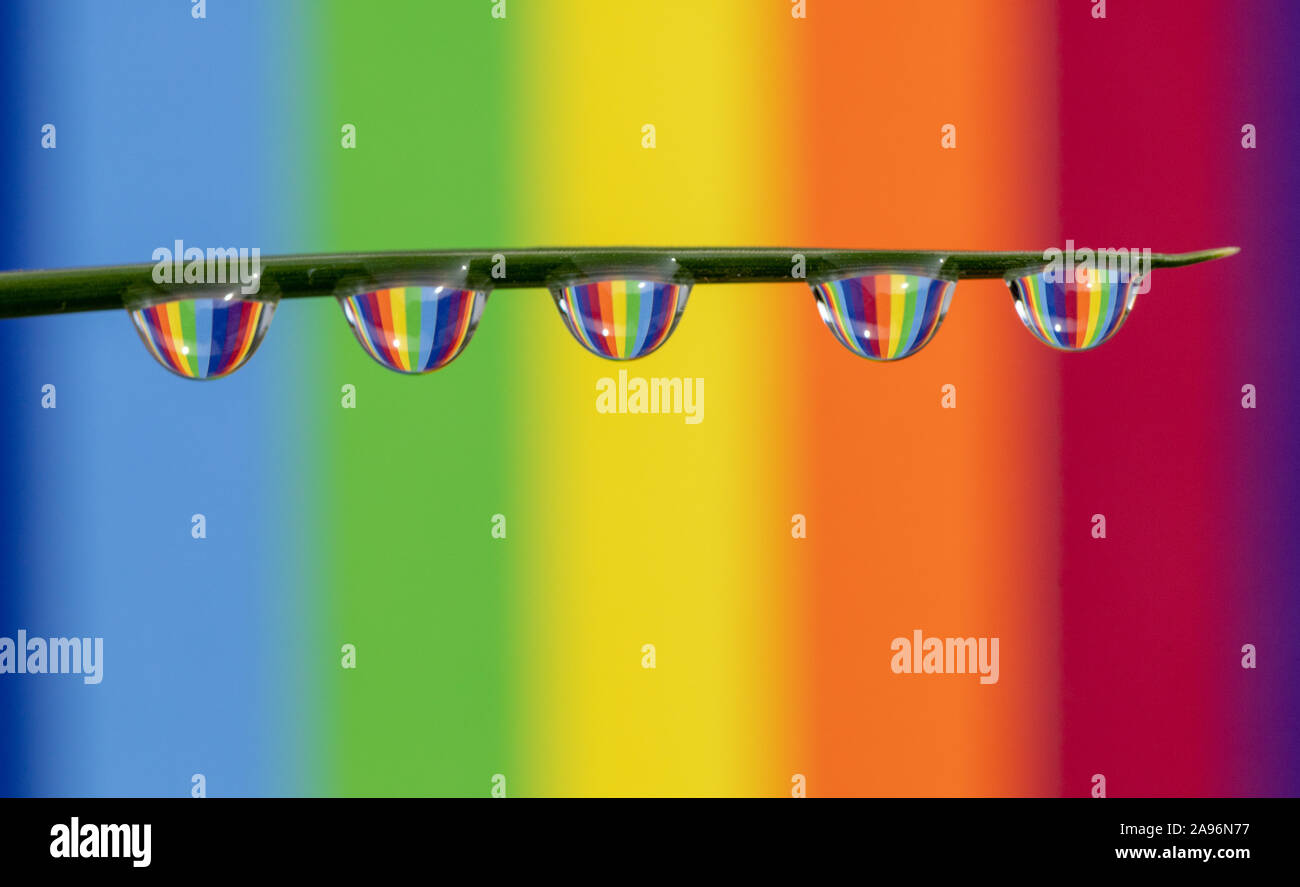 * Wassertropfen auf einem Grashalm mit einem Regenbogen gestreiften Hintergrund Brechung Stockfoto