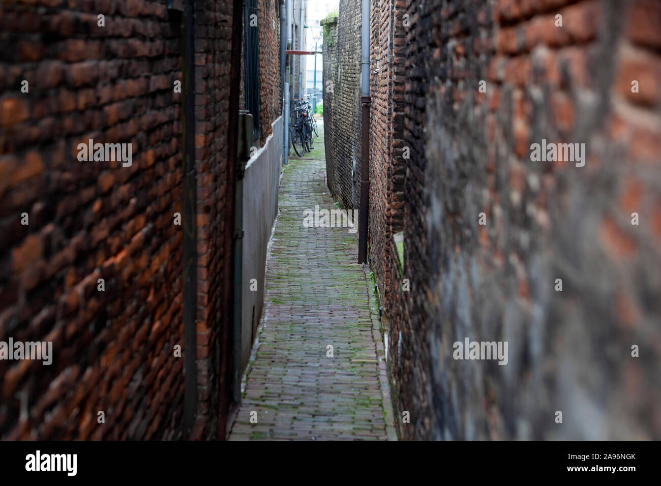 Vintage schmale Gasse mit alten Mauern in Dordrecht Stockfoto