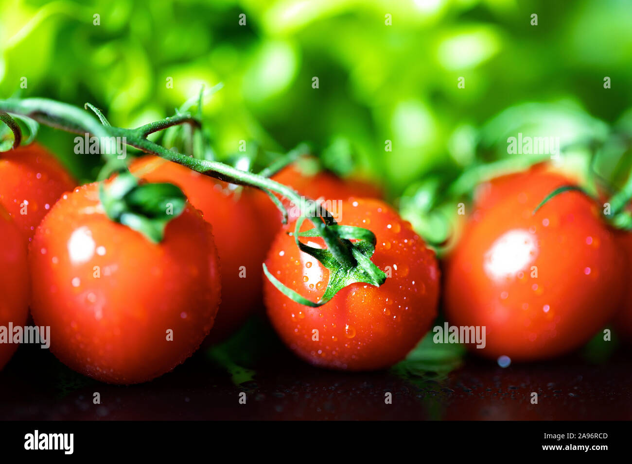 Kirschtomate Bündel auf grünen Salat Hintergrund. closeup Stockfoto