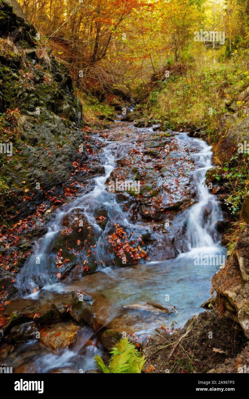 Schönen seidigen Kaskaden von frischen Bergbach im Herbst Wald. Die Schönheit der Natur, Ökologie und Umwelt Konzepte. Stockfoto