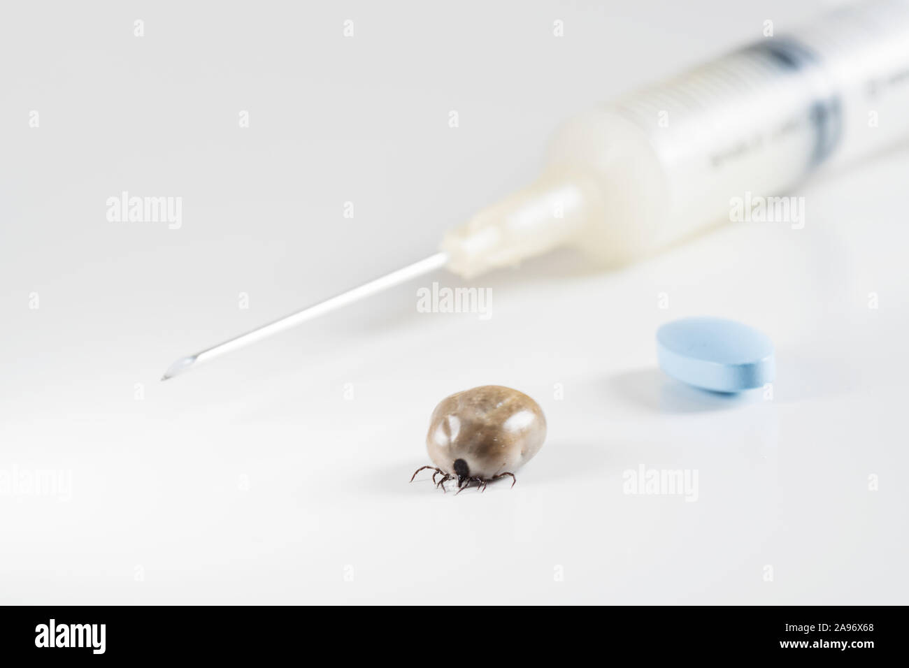 Infizierte Zecke, die Spritze mit Impfstoff und blaue Pille auf weißem Hintergrund verstopften Stockfoto