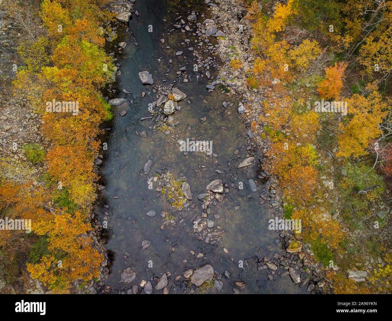 Antenne drone Blick auf Herbst Laub in der Nähe der Appalachian Trail an der VA. Stockfoto