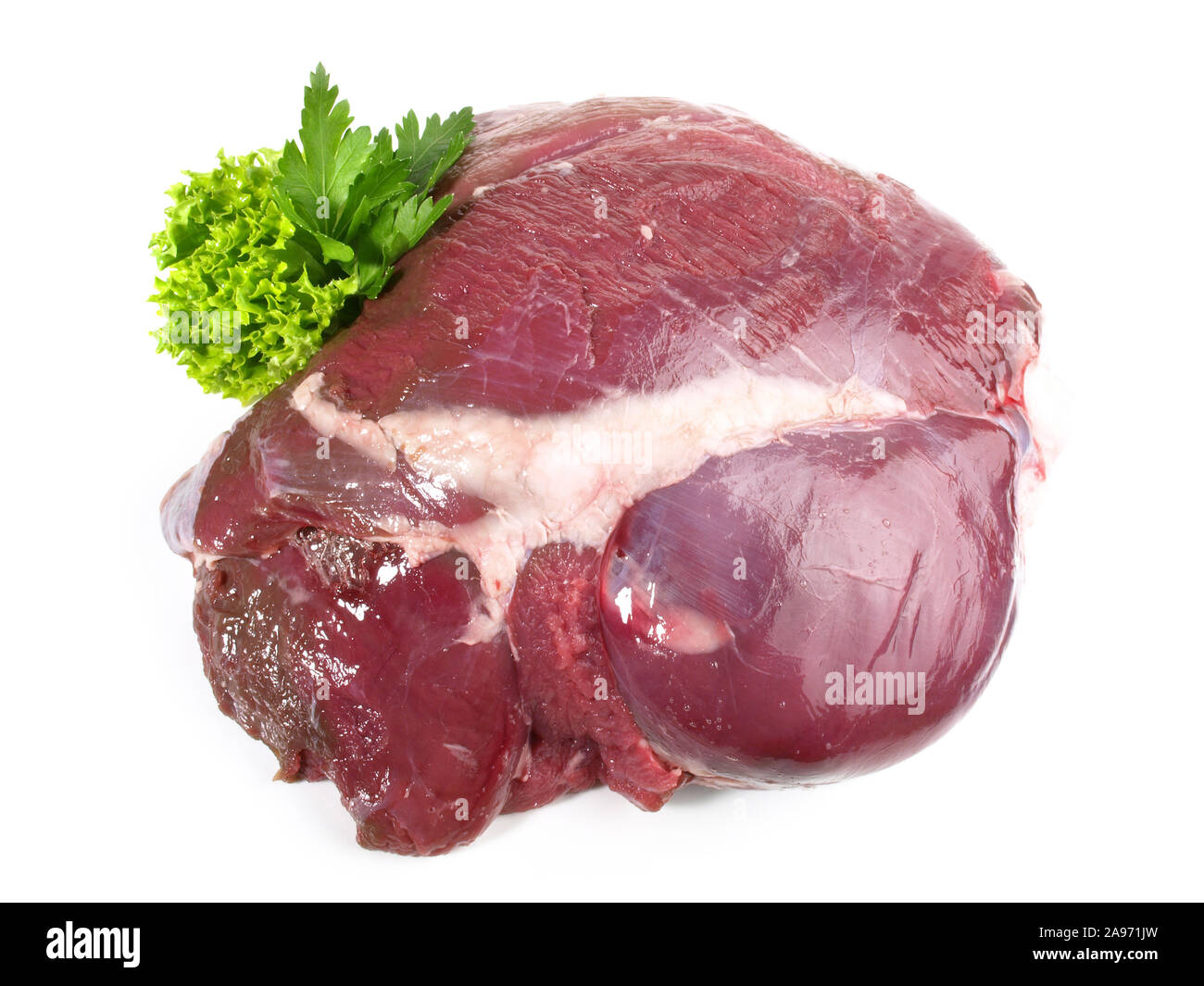 Rehe - Wildfleisch auf weißem Hintergrund Stockfoto