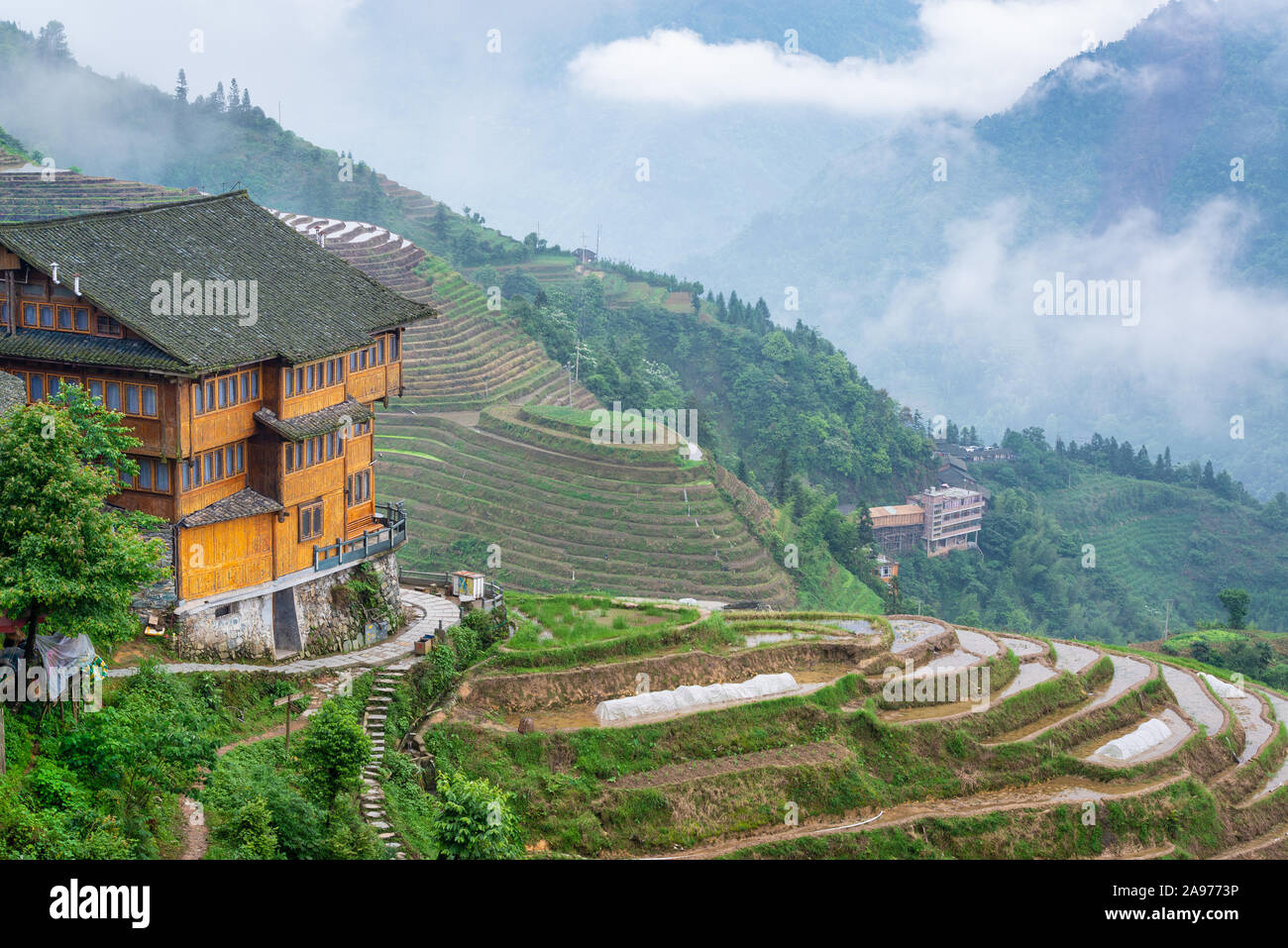 YAOSHAN Berg, Guilin, China Hang Reis Terrassen Landschaft. Stockfoto