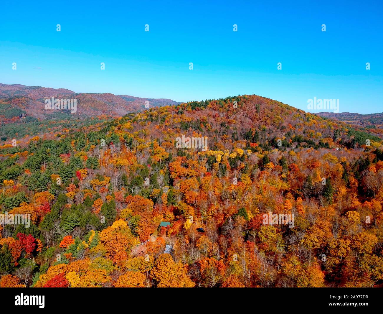 Herbst Laub in it's Peak Stockfoto