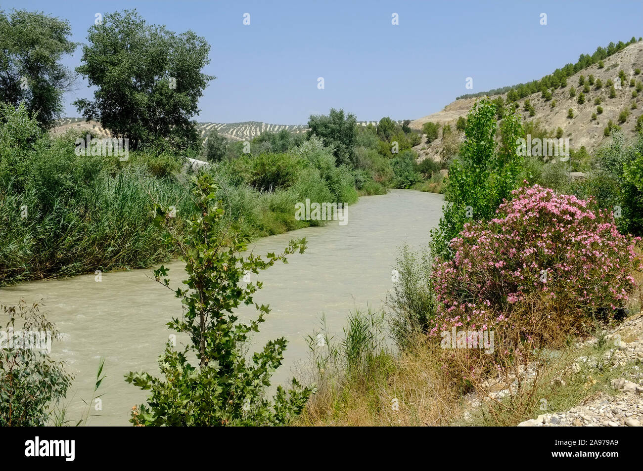 Fluss Genil bei Jauja, Provinz Córdoba, Andalusien, Spanien Stockfoto