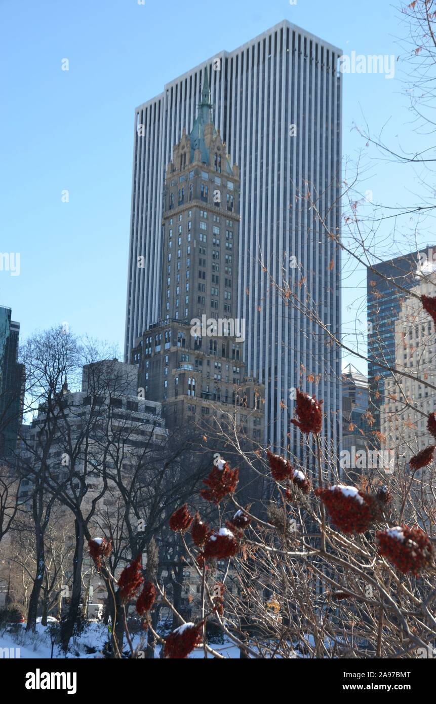 Get Central Park New York City Winter Gif