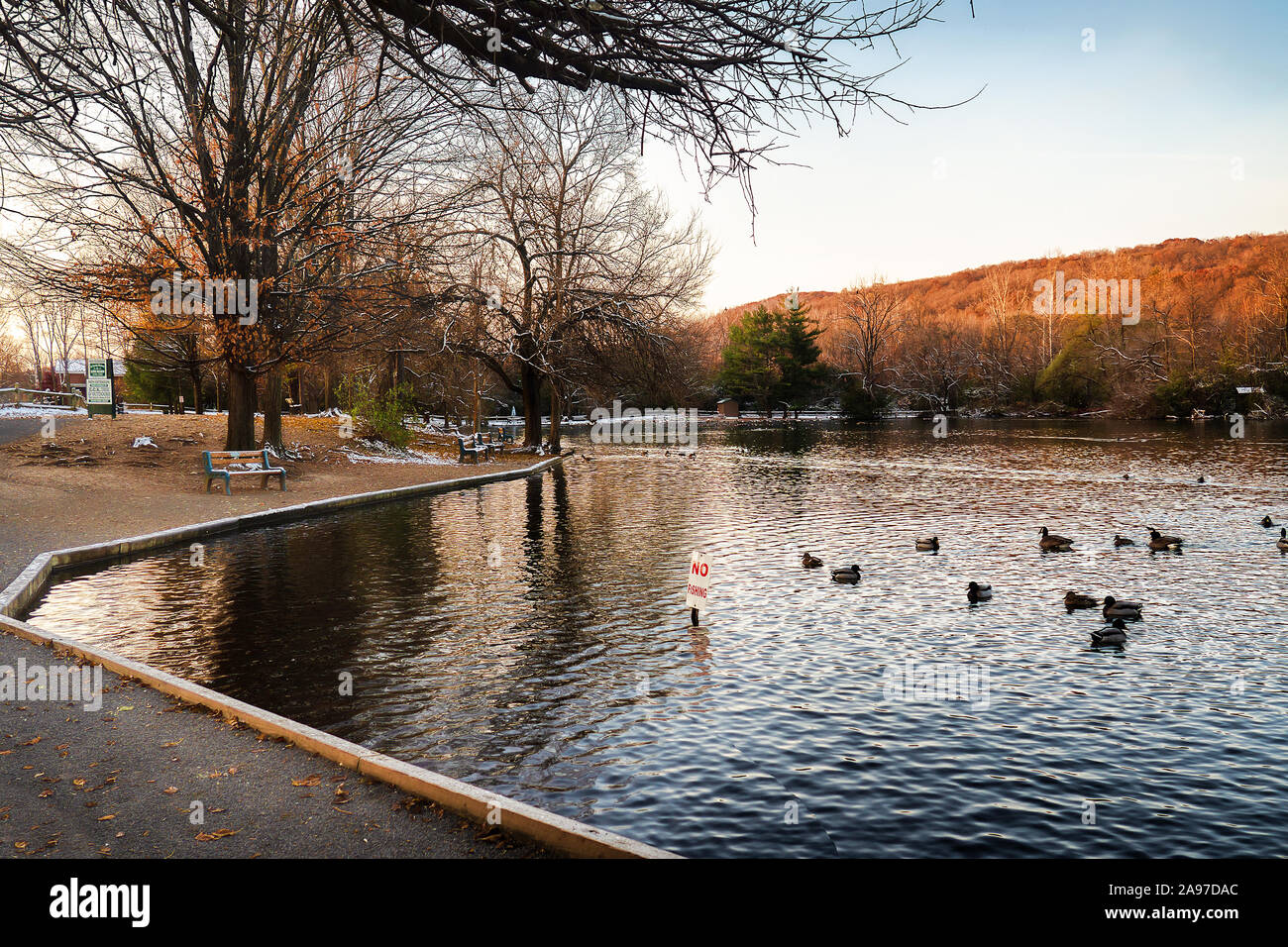 In Syracuse, New York, USA. November 11, 2019. Blick auf einen ruhigen Morgen im Webster's Teich, eine kleine Urban wildlife Santuary im Tal Nachbarschaft von S Stockfoto