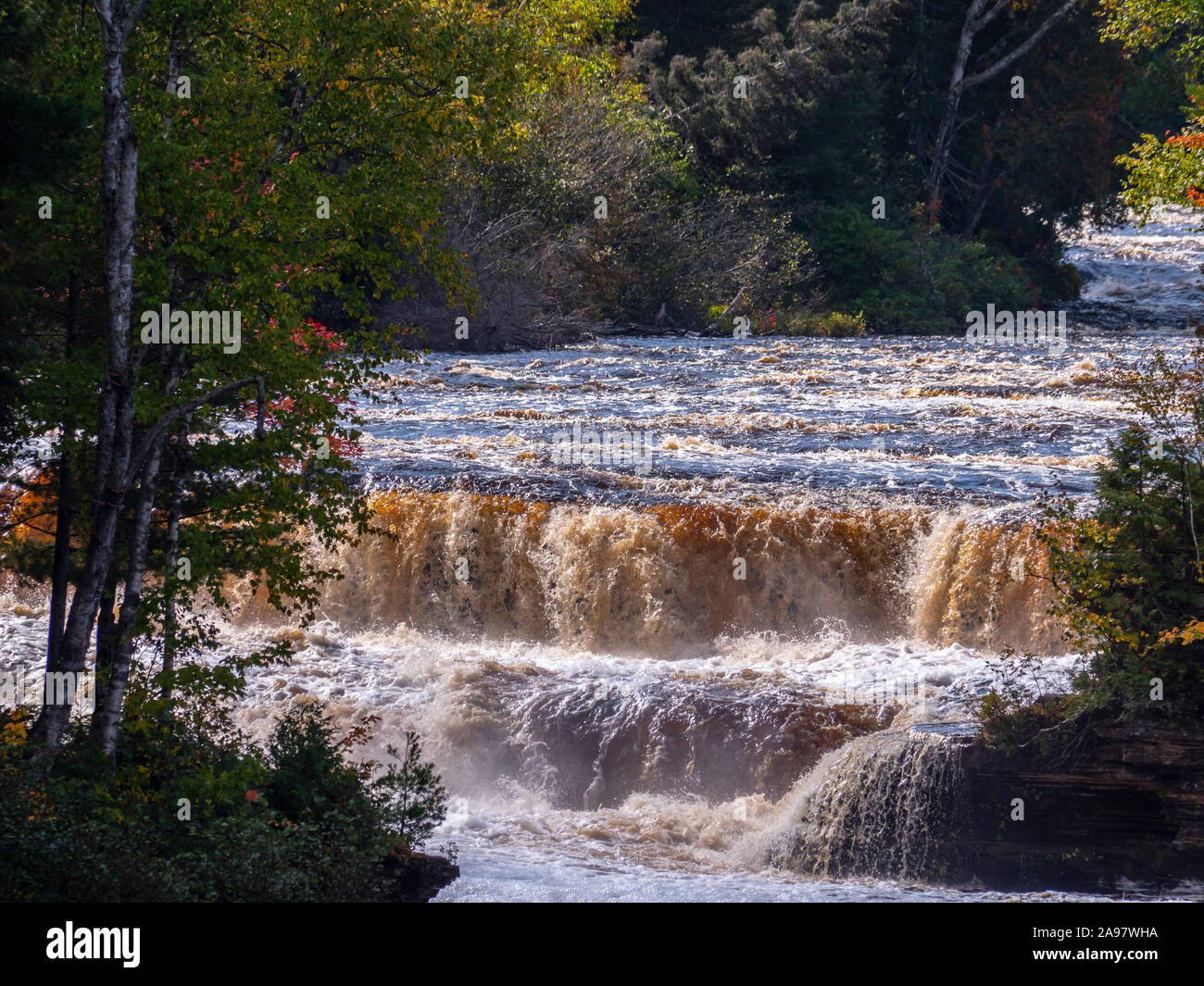 Lower Falls, Tahquamenon Falls State Park westlich von Paradies, obere Halbinsel, Michigan. Stockfoto