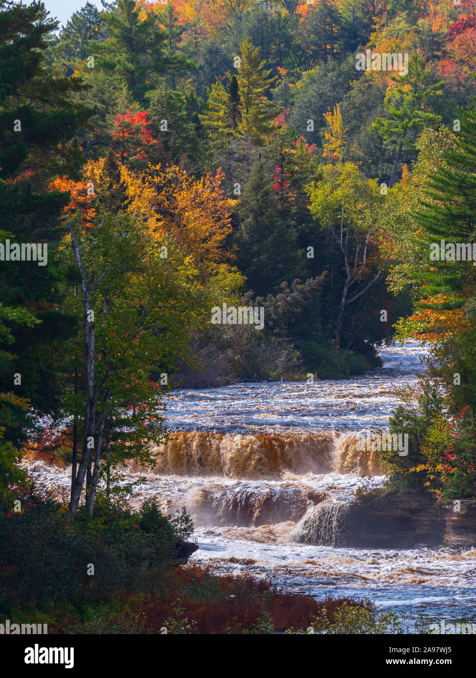 Lower Falls, Tahquamenon Falls State Park westlich von Paradies, obere Halbinsel, Michigan. Stockfoto