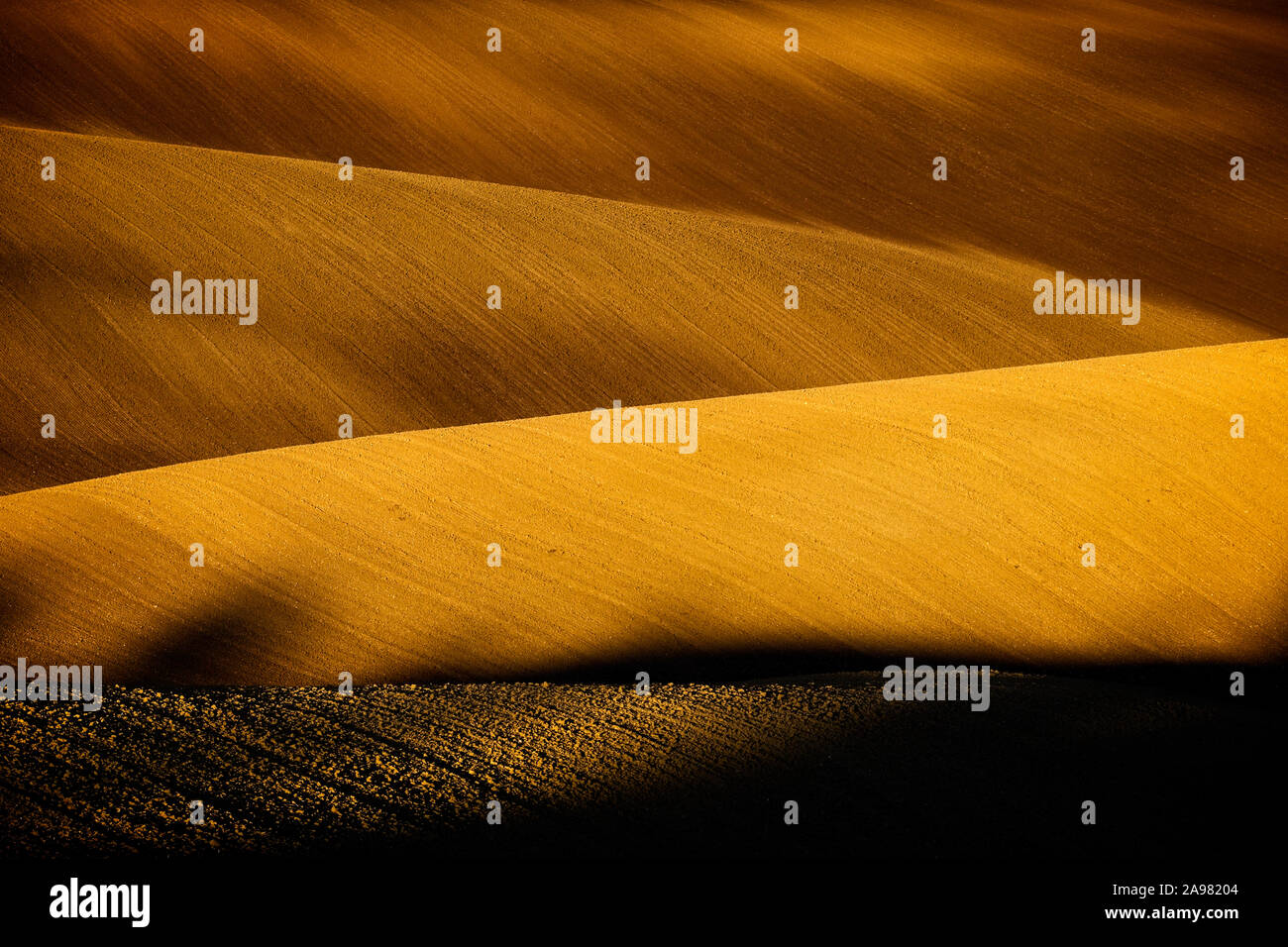 Ein Spiel von Licht und Schatten in einem Herbst Feld in der hügeligen Landschaft von Südmähren. Niedrige Morgensonne malt in braune Felder. Mährischen Toskanischen Stockfoto