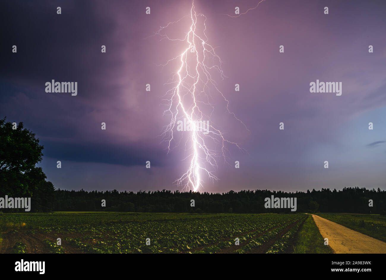 Dramatische Blitz bei Nacht über ländliche Gebiet. Landwirtschaft Felder. Stockfoto