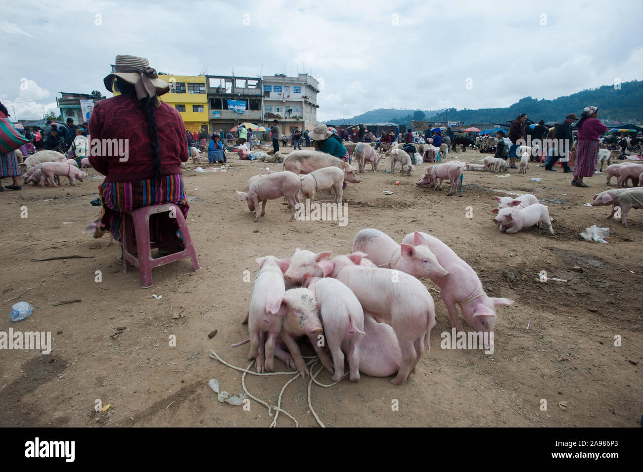 Tiermarkt in San Francisco El Alto in Totonicapan, Guatemala. Stockfoto