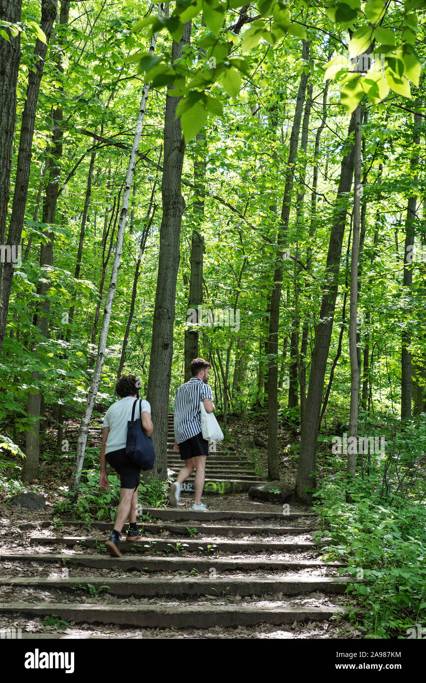 Wanderwege am Mont Royal Park im Sommer, Plateau Mont Royal, Montreal, Quebec, Kanada Stockfoto