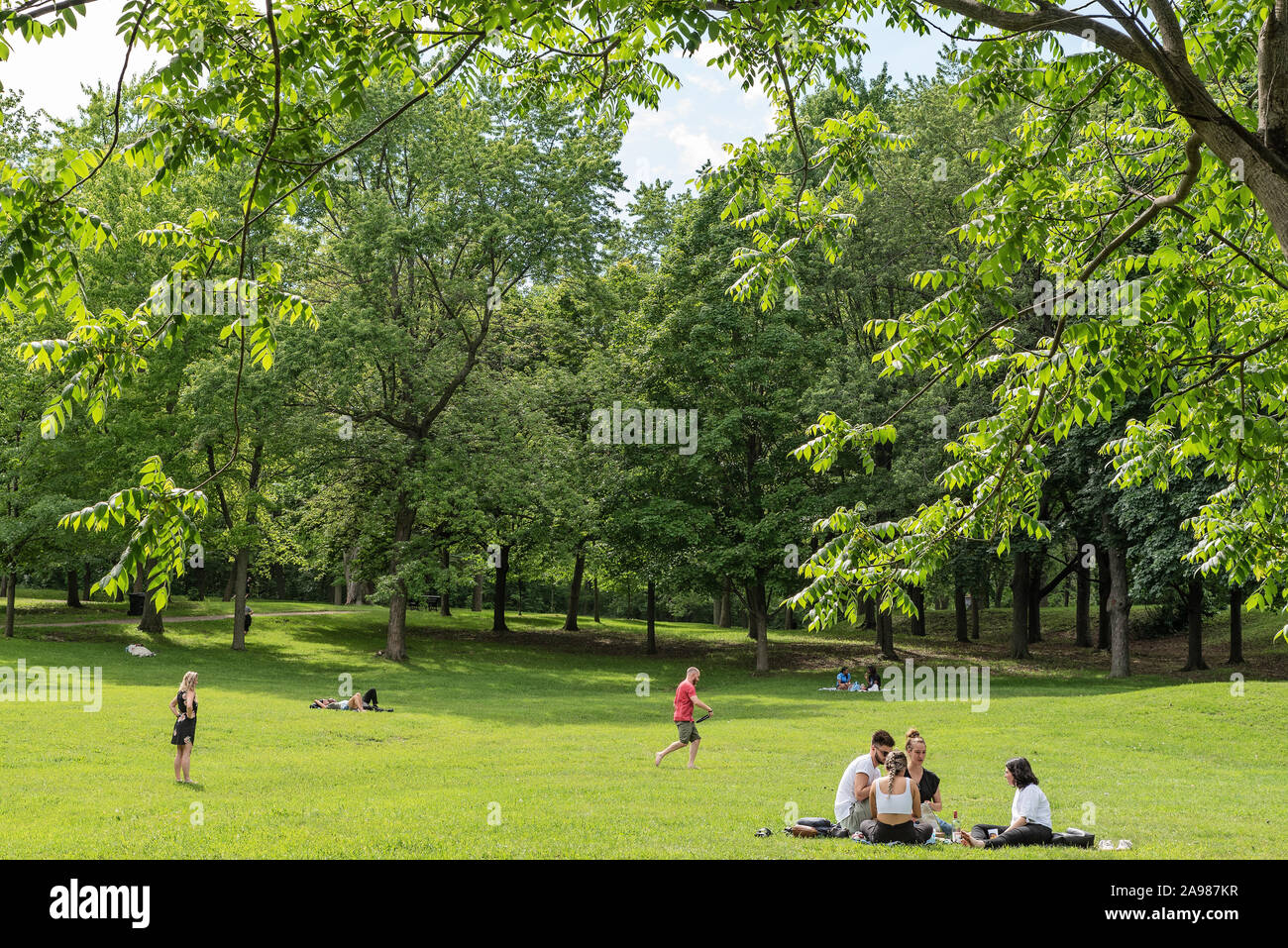 Wanderwege am Mont Royal Park im Sommer, Plateau Mont Royal, Montreal, Quebec, Kanada Stockfoto