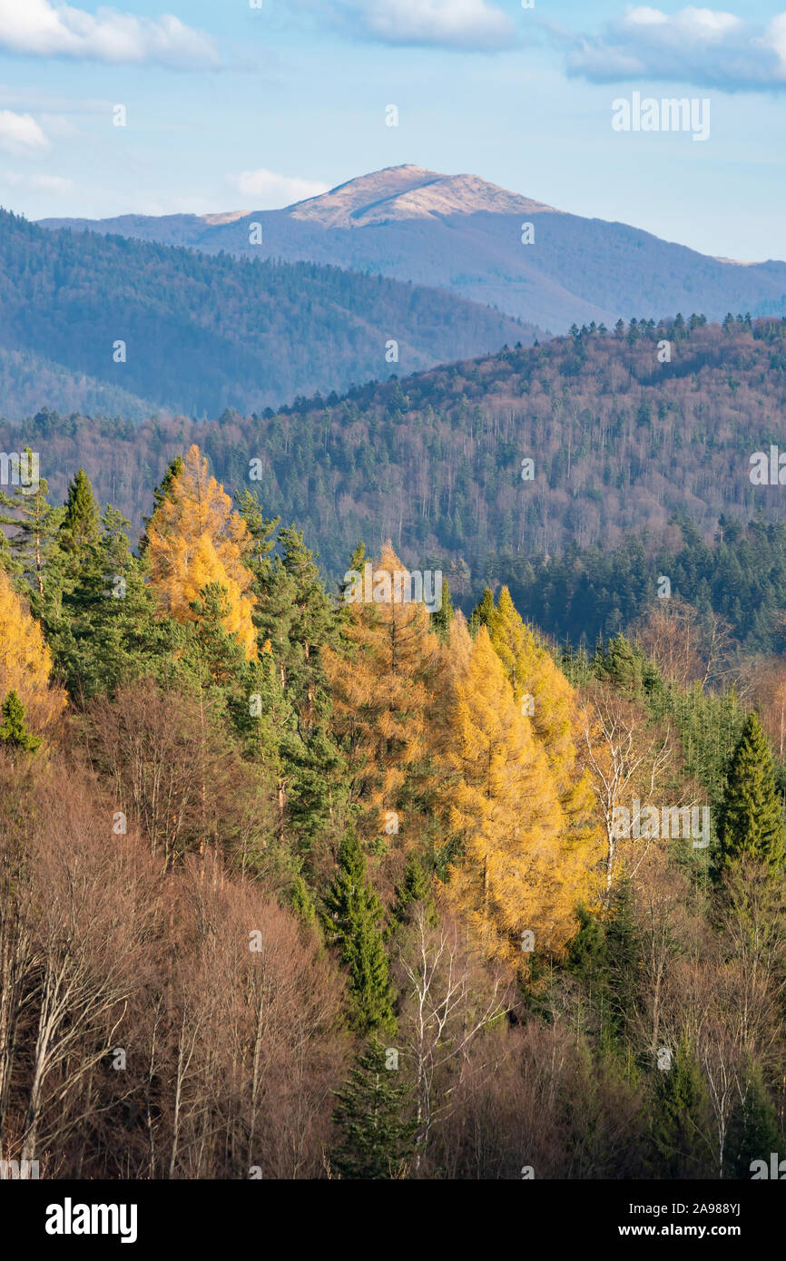 Blick auf Smerek pewk in das Bieszczady-gebirge. Östlichen Karpatenvorland, Polen. Stockfoto