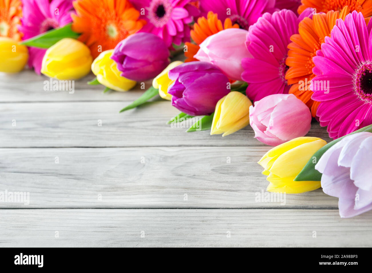 Die Gerbera und Tulpen gegen Holz- Hintergrund Stockfoto