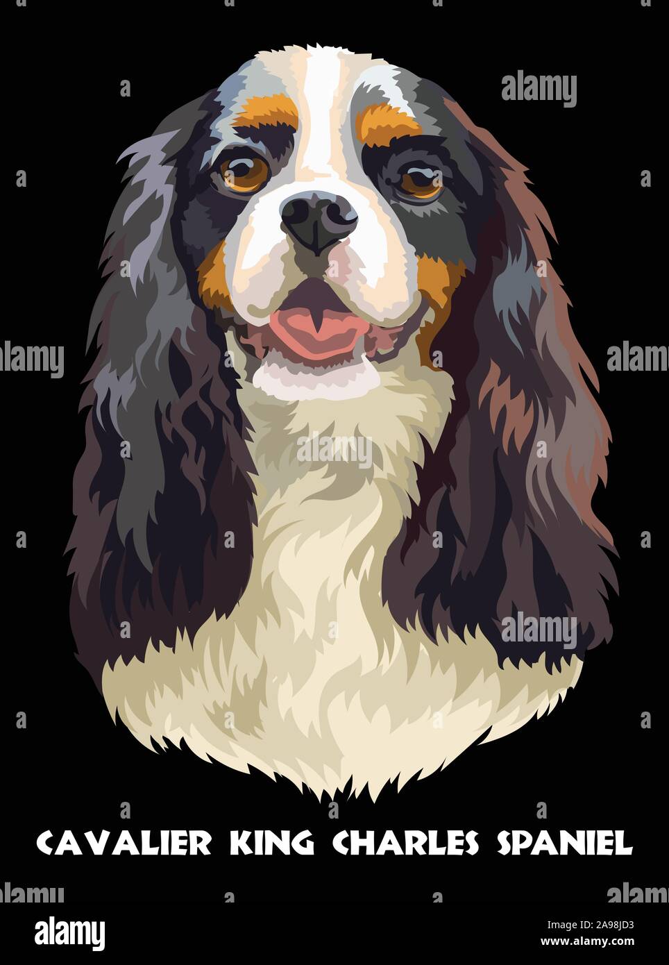 Realistisches Portrait von dog Cavalier King Charles Spaniel. Bunte Vektor-zeichnung Abbildung auf schwarzen Hintergrund isoliert. Stock Vektor
