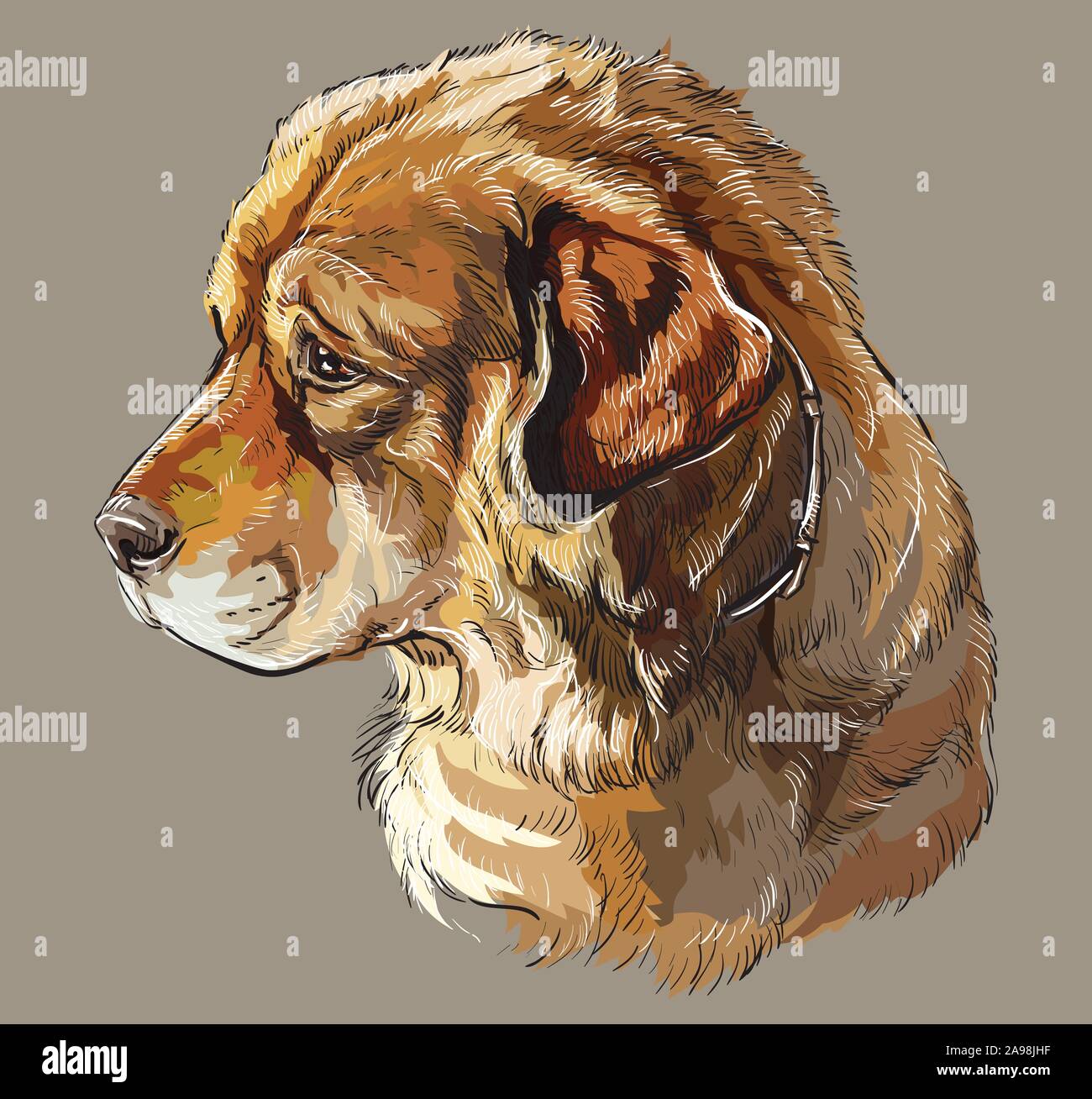 Realistisches Portrait von Hund kaukasischen Hirten. Bunte Vektor hand Zeichnung Abbildung auf grauen Hintergrund isoliert. Stock Vektor