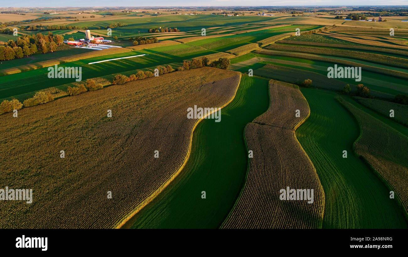 Luftaufnahme der ländlichen Bauernhof mit hügeligen Landschaft bei Sonnenuntergang mit Mais und Luzerne Erntegut Konturen, außerhalb Monroe, Wisconsin, USA Stockfoto