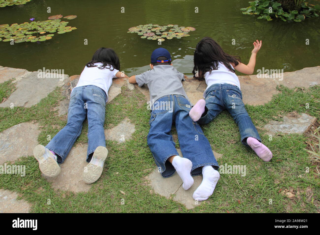 Kinder erforschen das Wasser in einem Teich im Garten Stockfoto