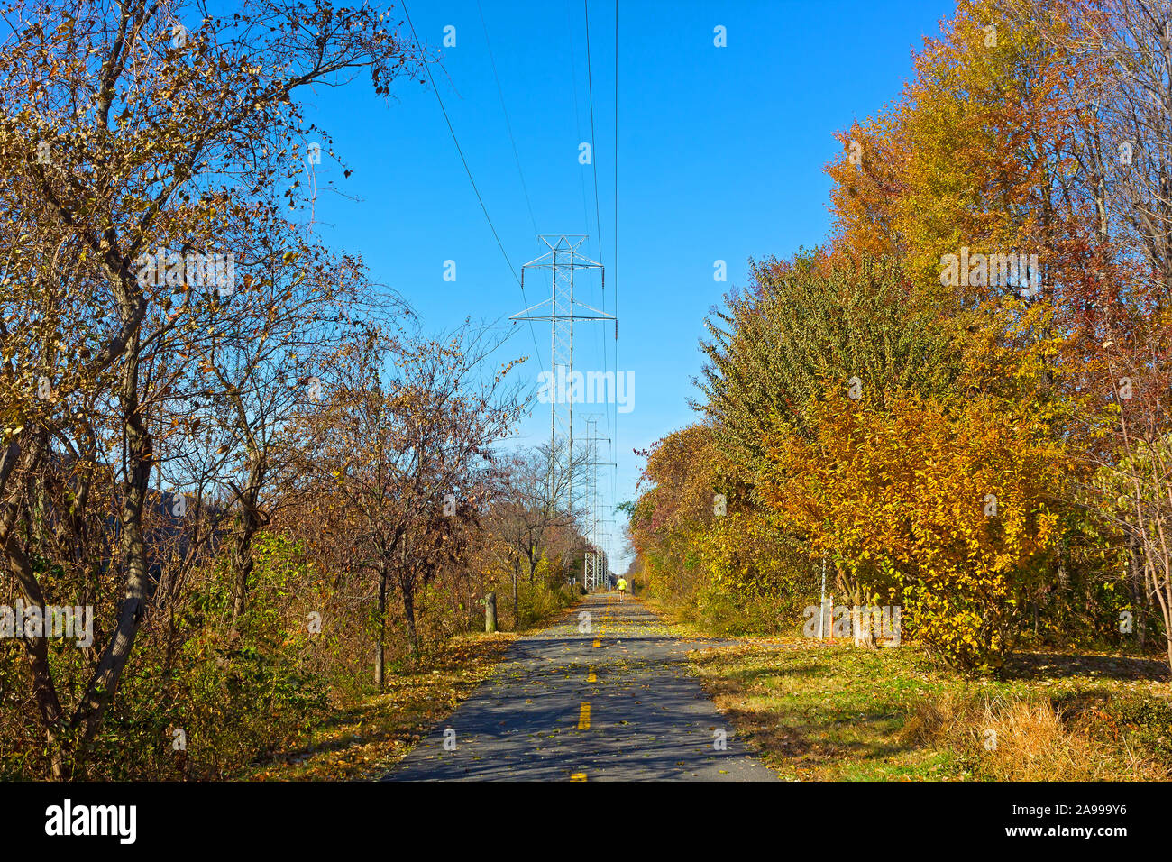 Bike Trail im späten Herbst in Falls Church, Virginia, USA. Laub und ein Einsamer jogger Abbildung. Stockfoto