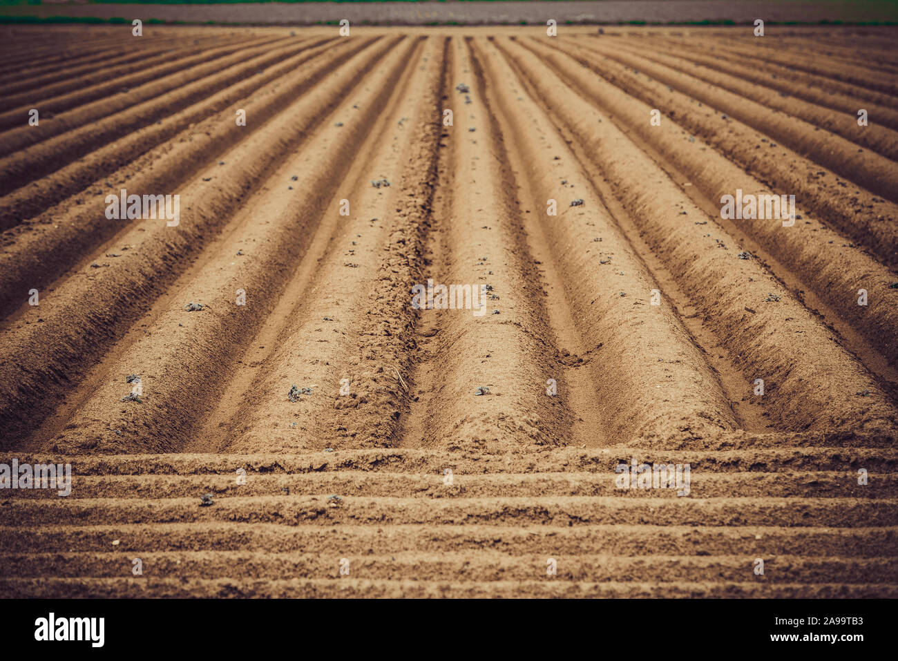 Gepflügten Feldes, Frühling landwirtschaftlichen Hintergrund Stockfoto
