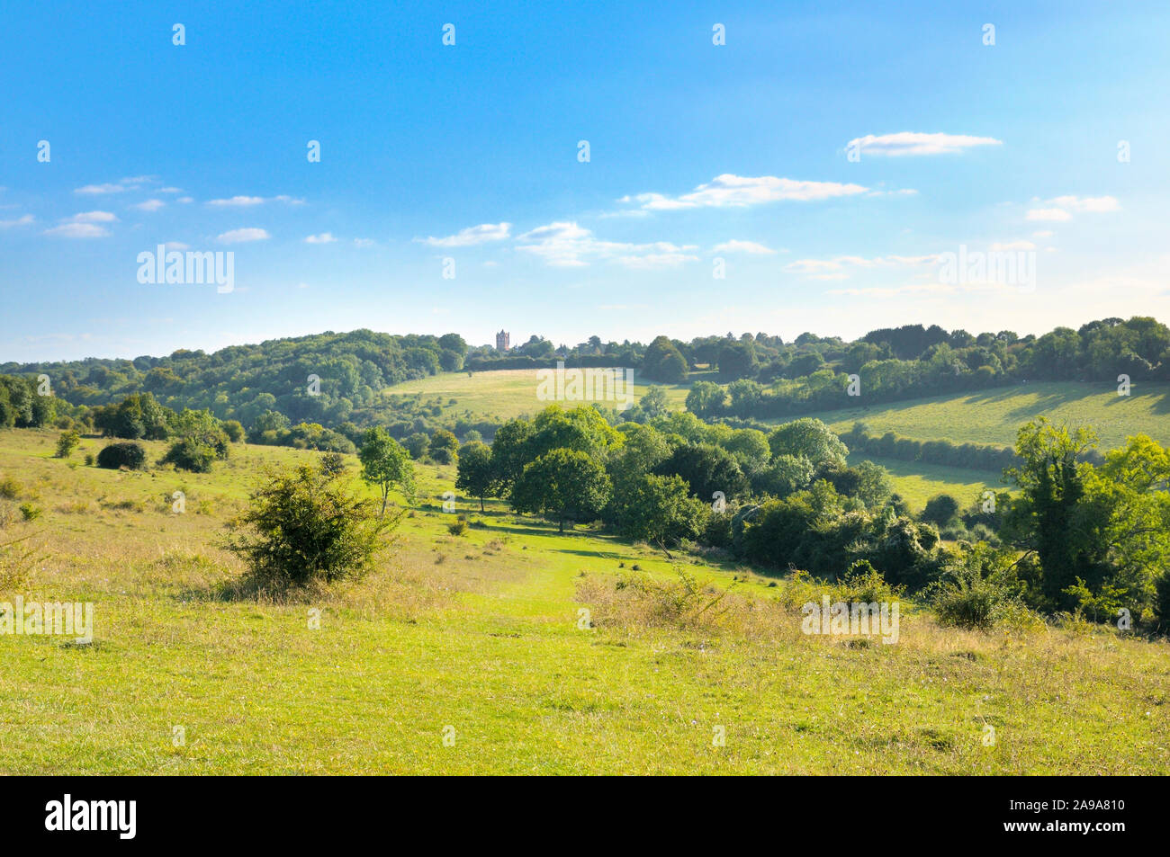 Farthing Downs, Teil der South London Downs National Nature Reserve, bestehend aus 121 Hektar Landschaft entlang der Grenze von Surrey und Croydon, Großbritannien Stockfoto