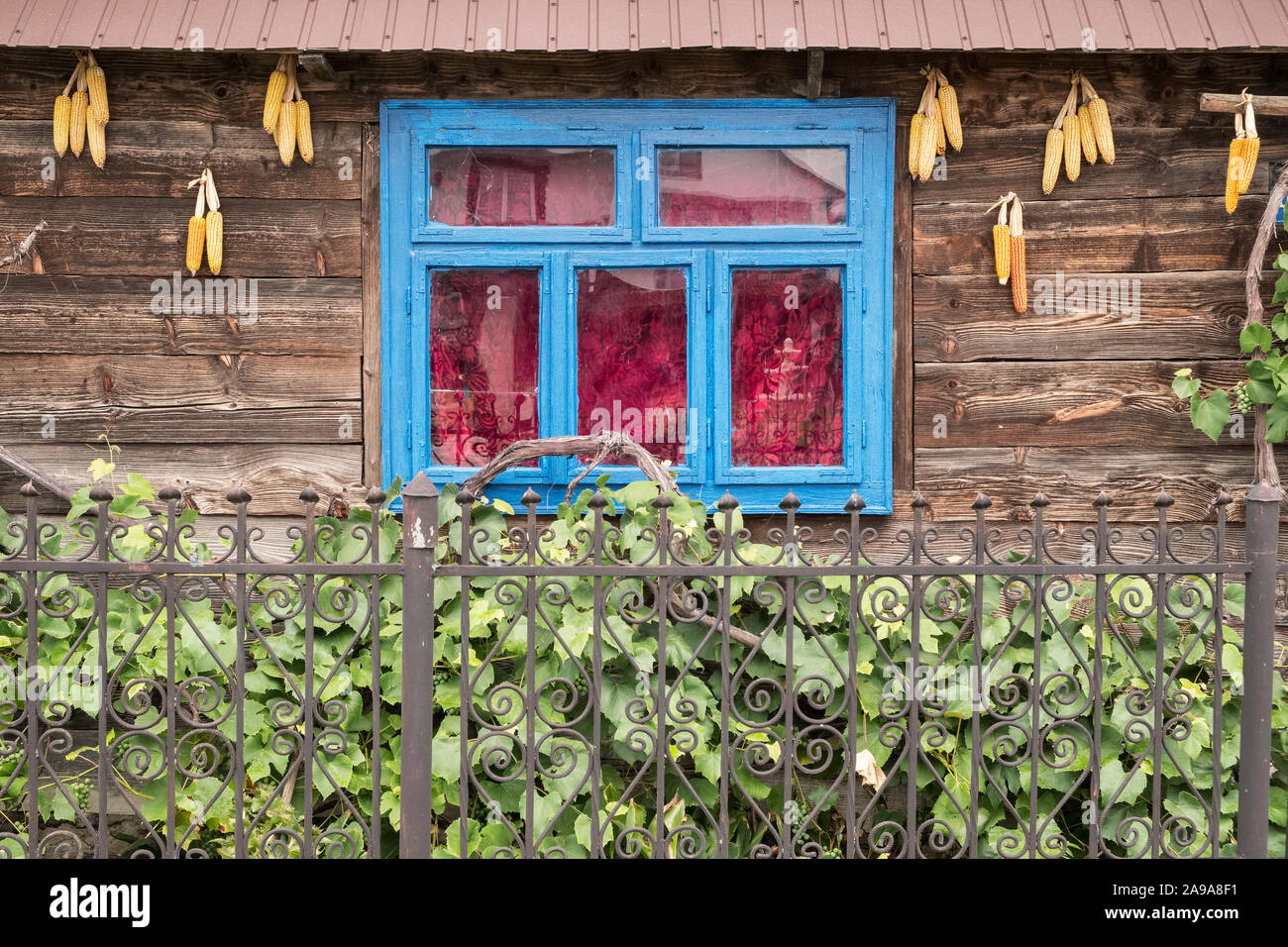 Zum Trocknen Aufgehängt Stockfotos und -bilder Kaufen - Alamy