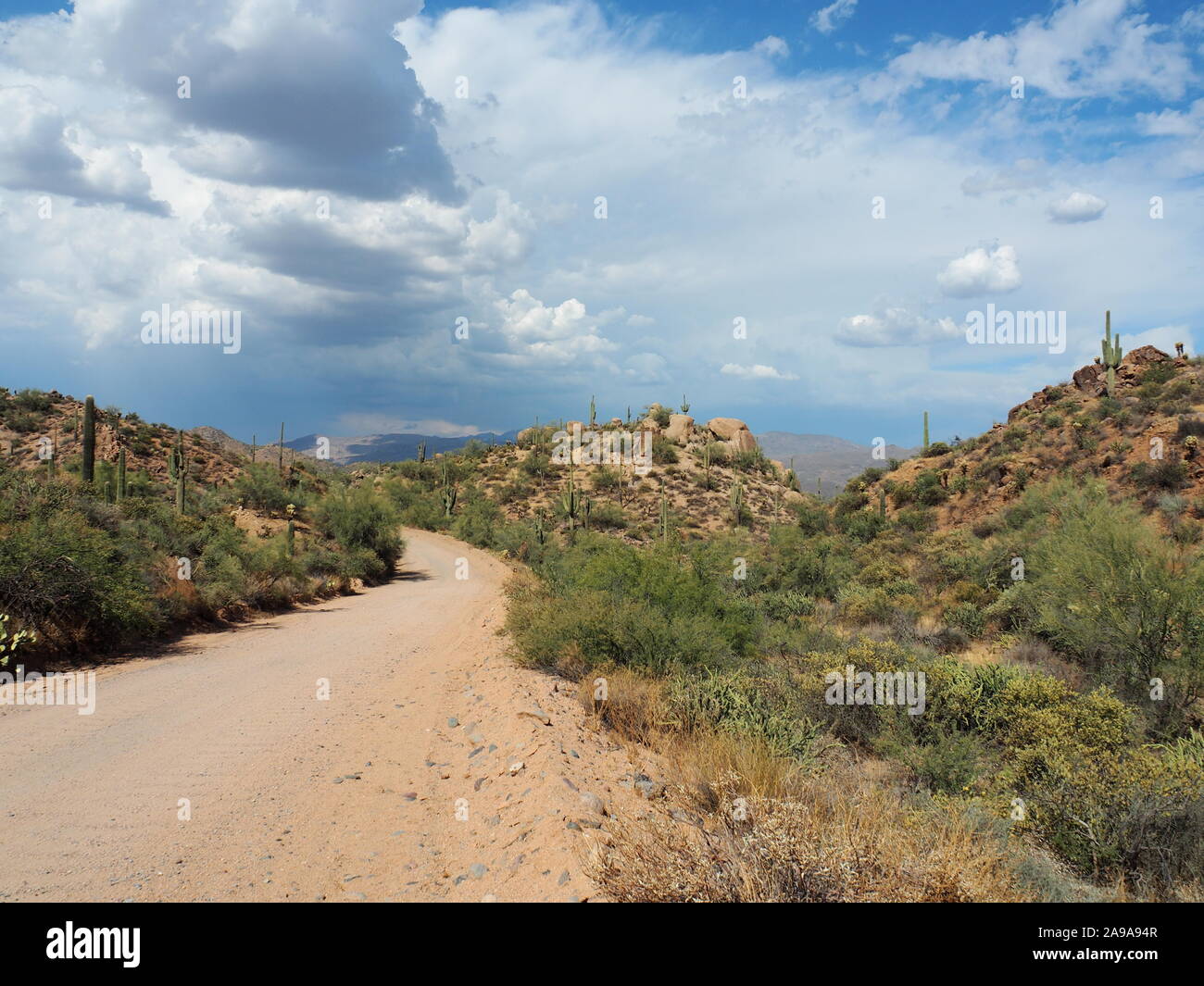 Hufeisen Dam Road an der Bartlett Lake-Straße geht in die Ferne und großartiger Ausblick auf die Seite mit Saguaro - Road Trip - Arizona, USA Stockfoto