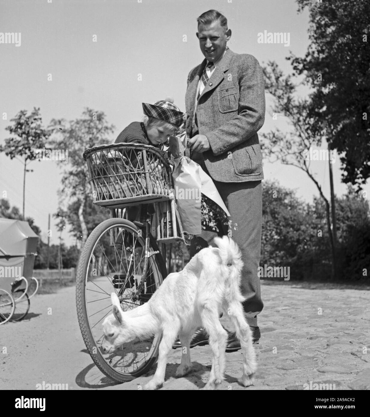 Ein neugieriger yeanling trifft auf einen Vater und seine kleine Tochter, Deutschland 1930. Stockfoto