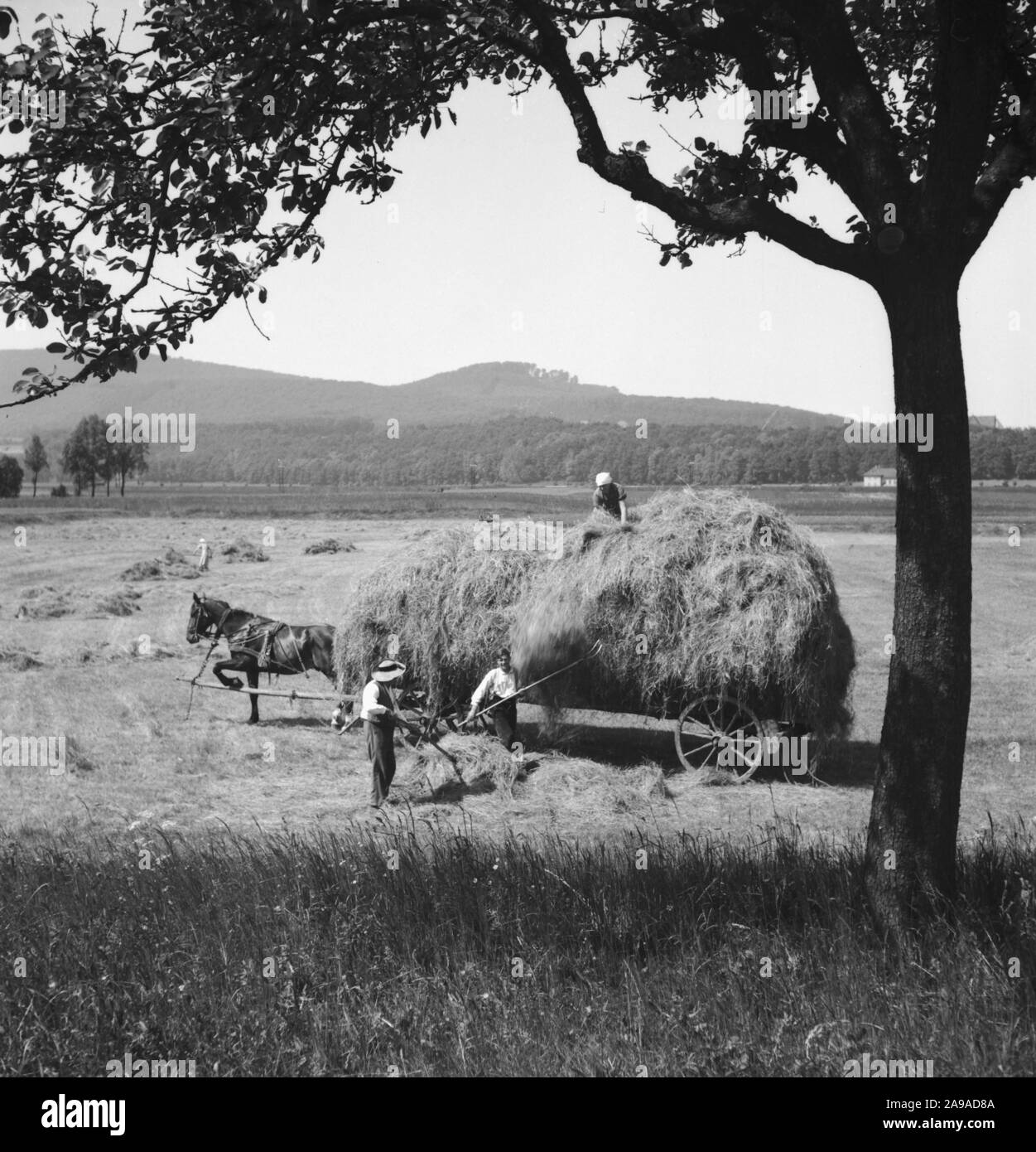 Sommer auf dem Land, Deutschland 1930. Stockfoto