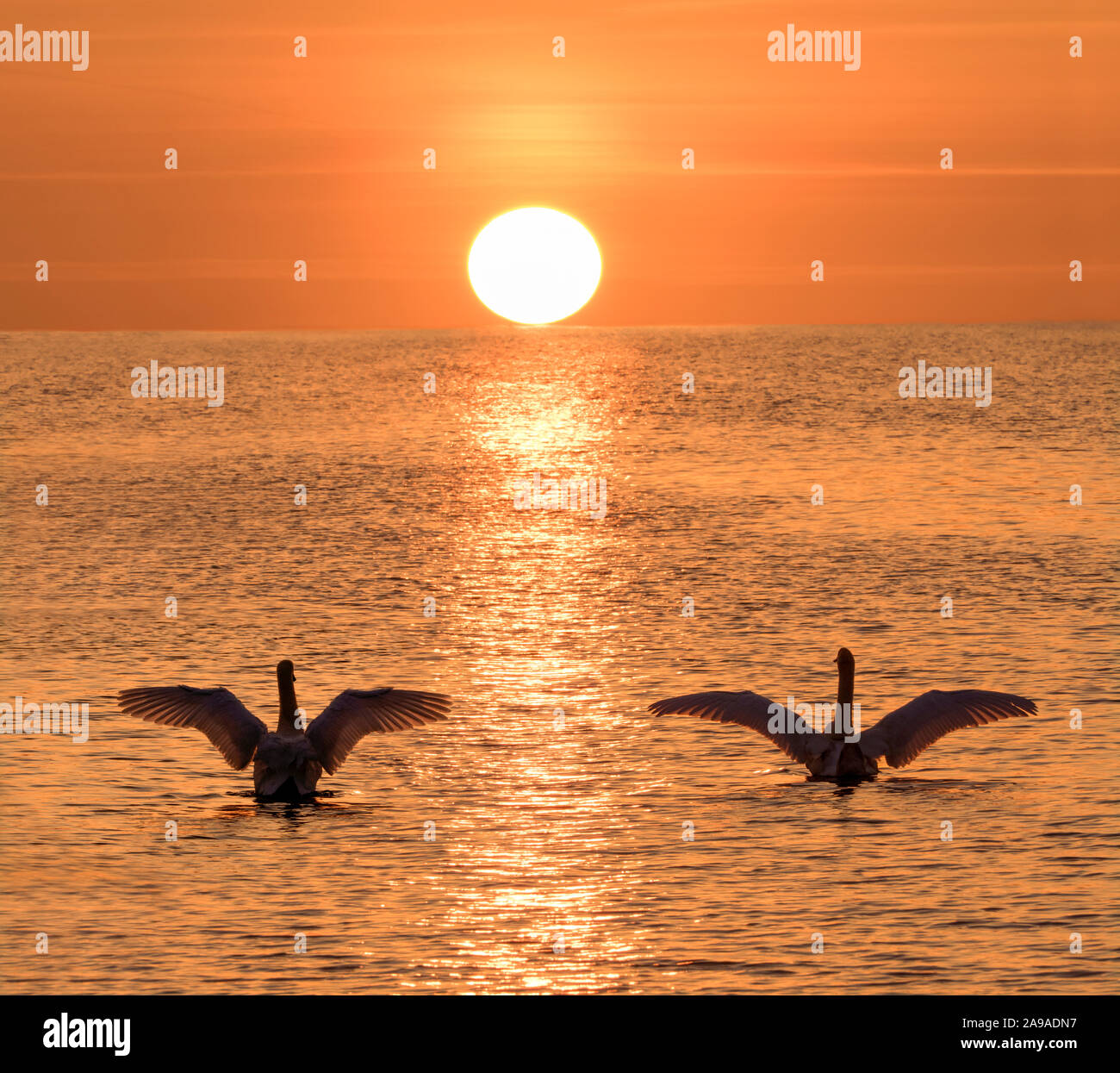 Begrüßung des Sonnenaufgangs Stockfoto