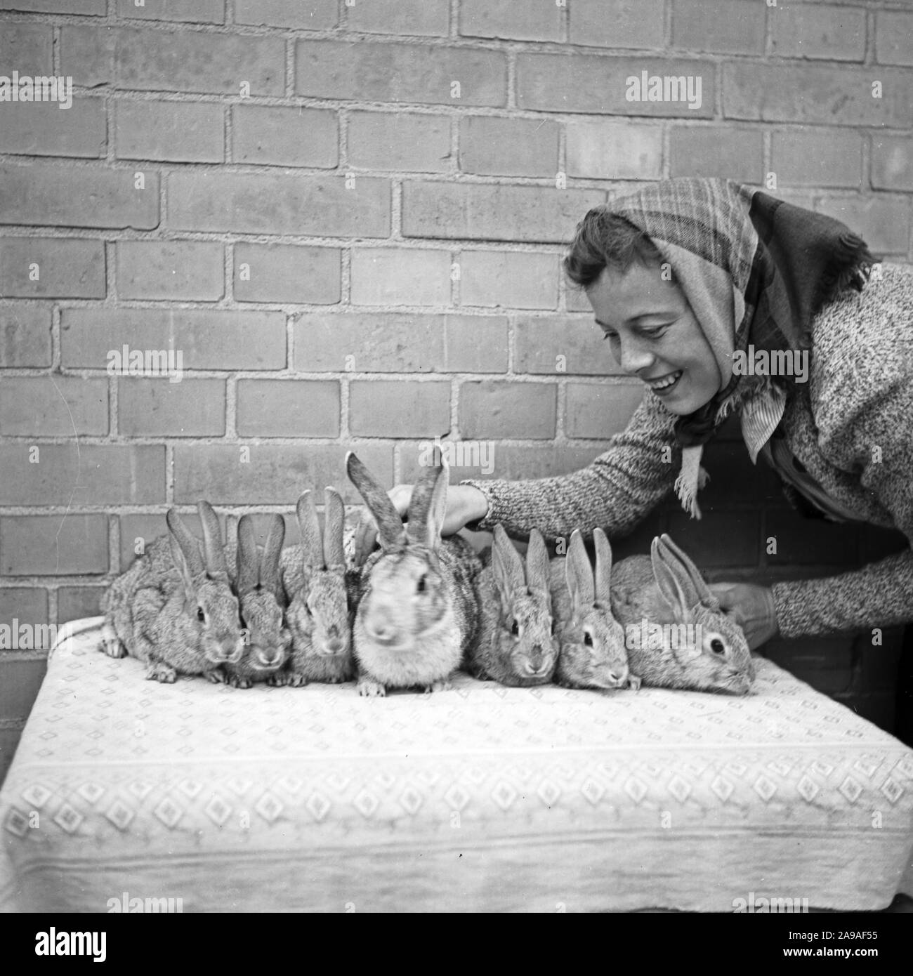 Besuch der kleinen Tierzucht Club in Berlin Bohnsdorf, Deutschland 1930. Stockfoto