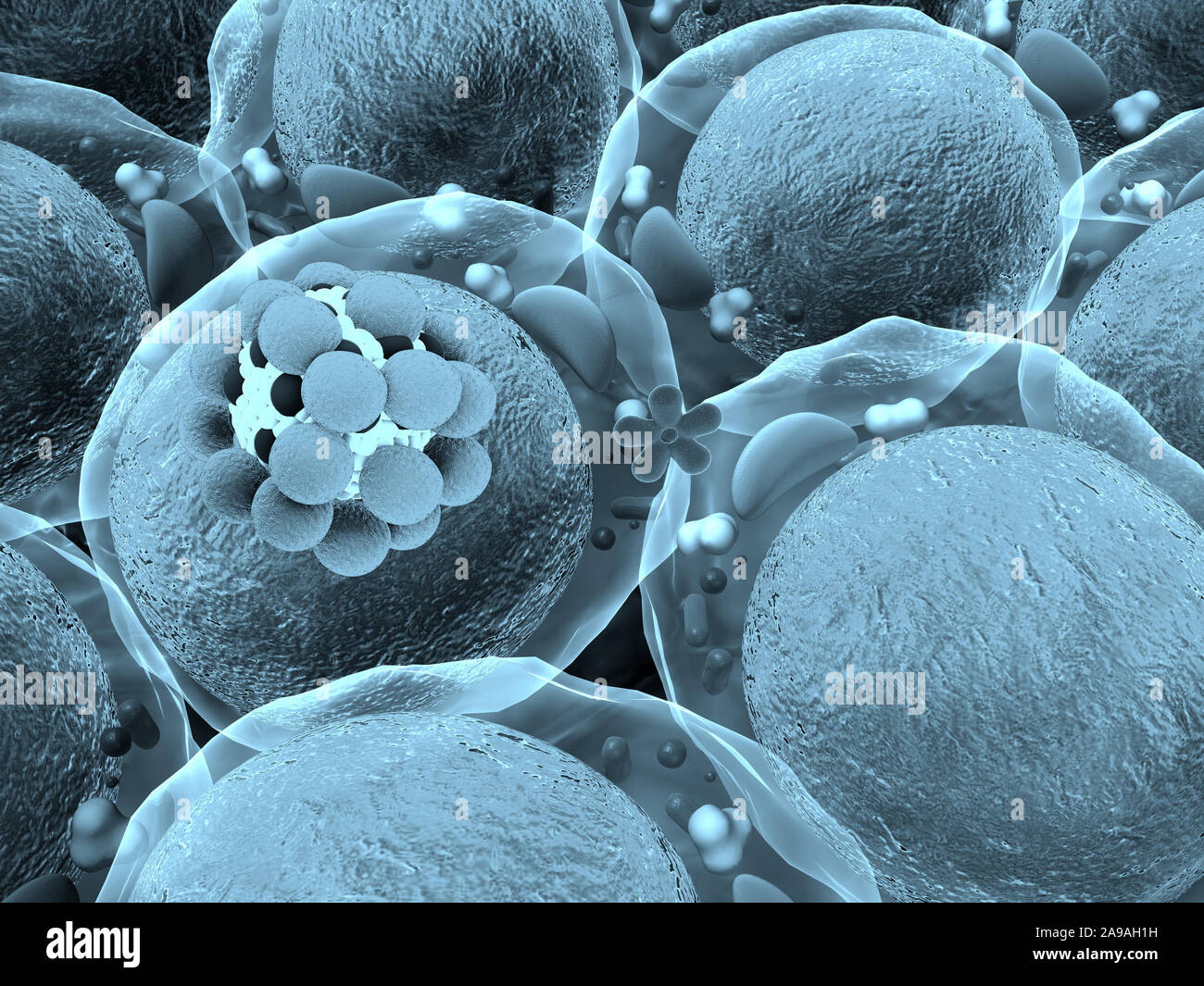 Wirkmechanismus von Insulin, Glucose, Insulin Human Stockfoto