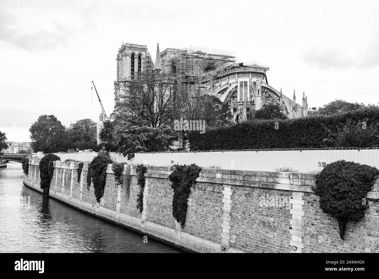 Notre Dame Paris in Restaurierung detail Stockfoto