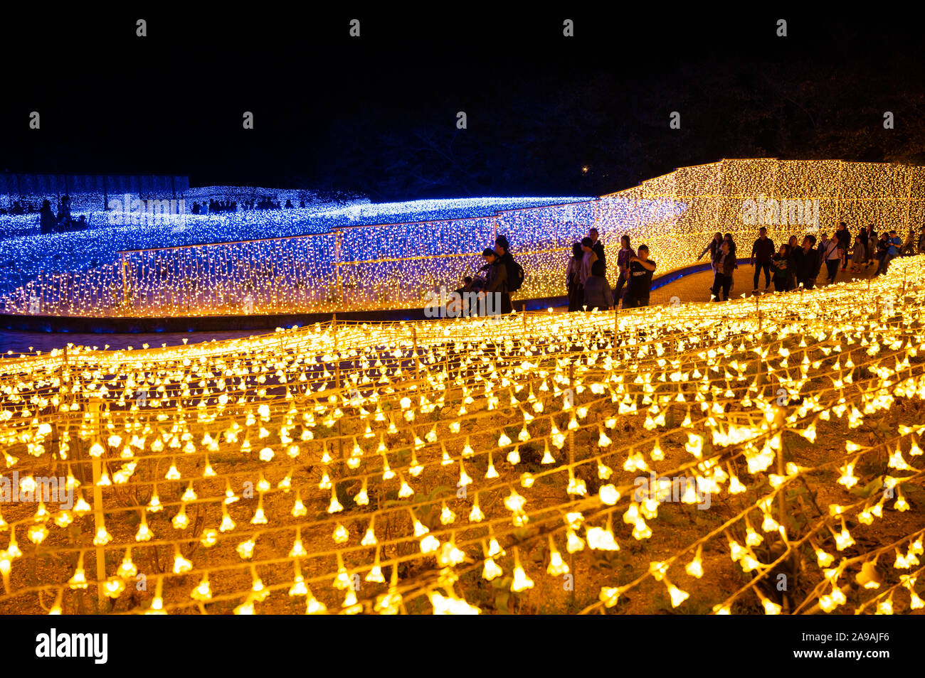 Menschen zu Fuß durch Felder von LED-Leuchten wie Blütenblätter geprägt. Stockfoto