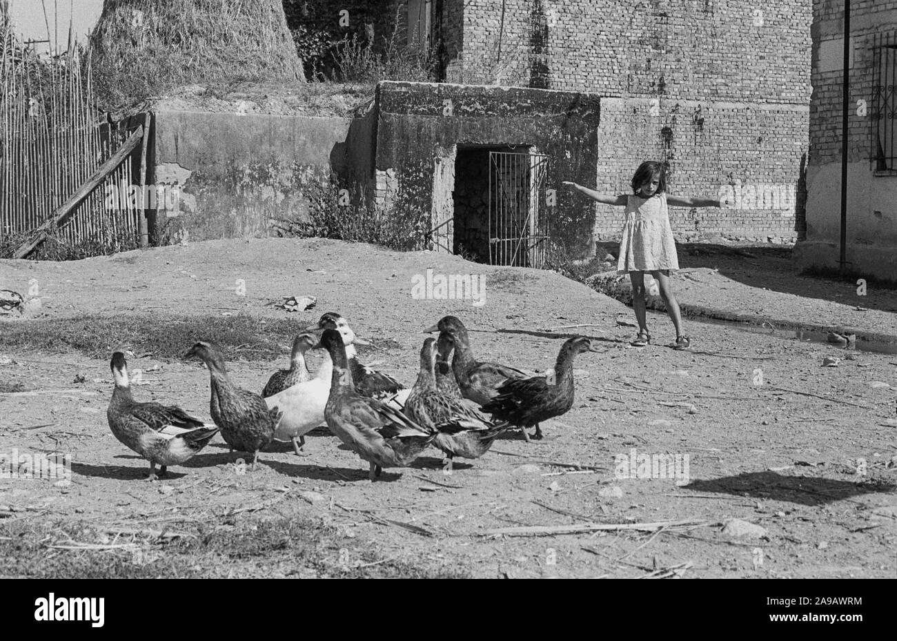 GRADISHTE INTERNIERUNGSLAGER, Aug '91, ALBANIEN. Stockfoto