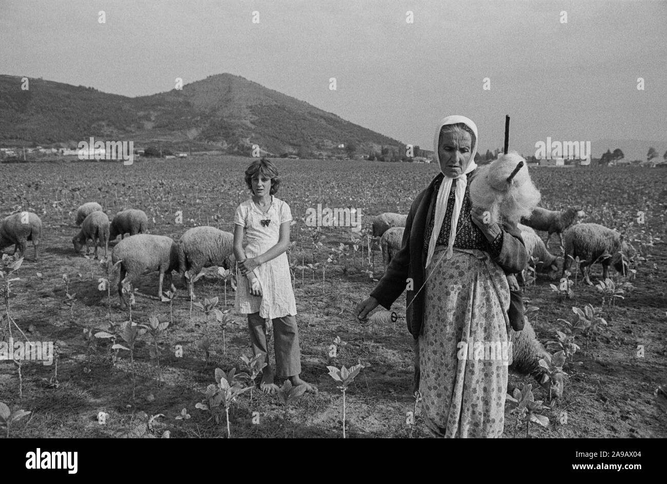 Die Straße nach Shkodra, Albanien, Sep '91 Stockfoto