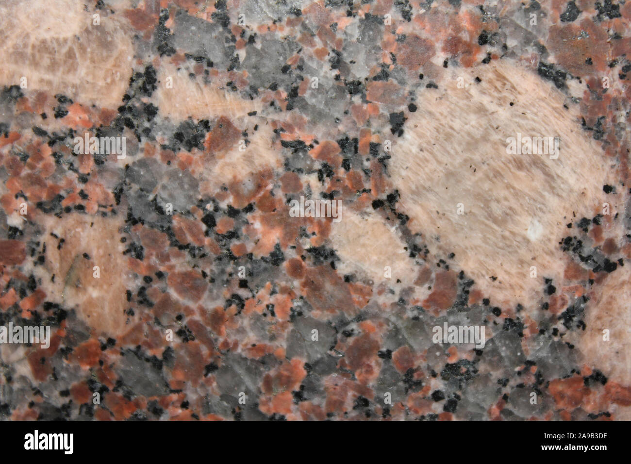 Granit Kristalle Makro zeigt große Kalifeldspat phenocrysts zusammen mit Biotit Stockfoto